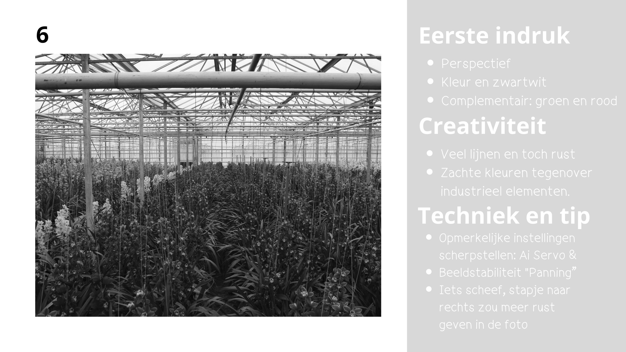 Jury presentatie 2-06-2026-13.jpg
