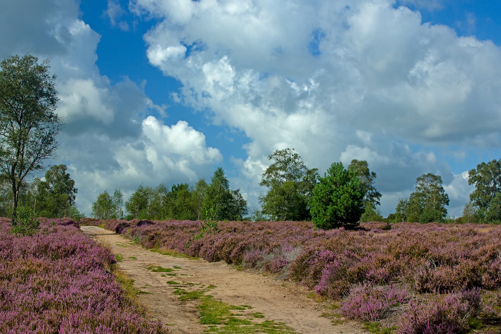 Fotograaf Karin Rass