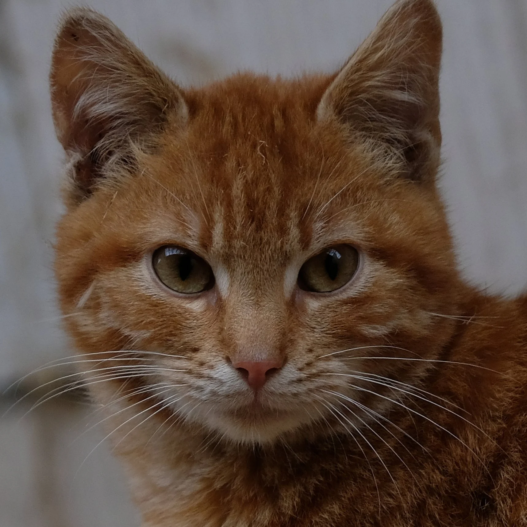 DSCF3592 Joop - van Schooten .JPG