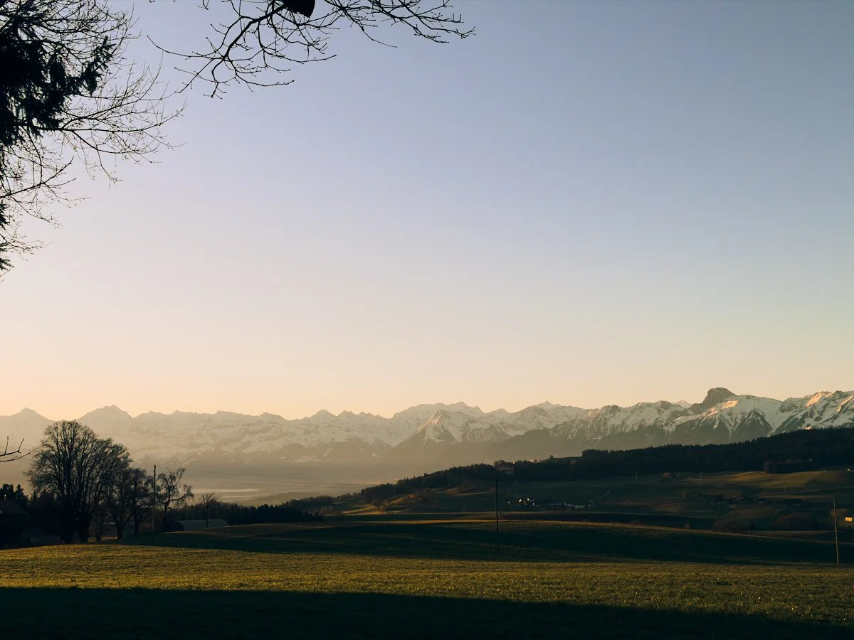 Danke, Wachstumsraum – zwei Wege gehen weiter