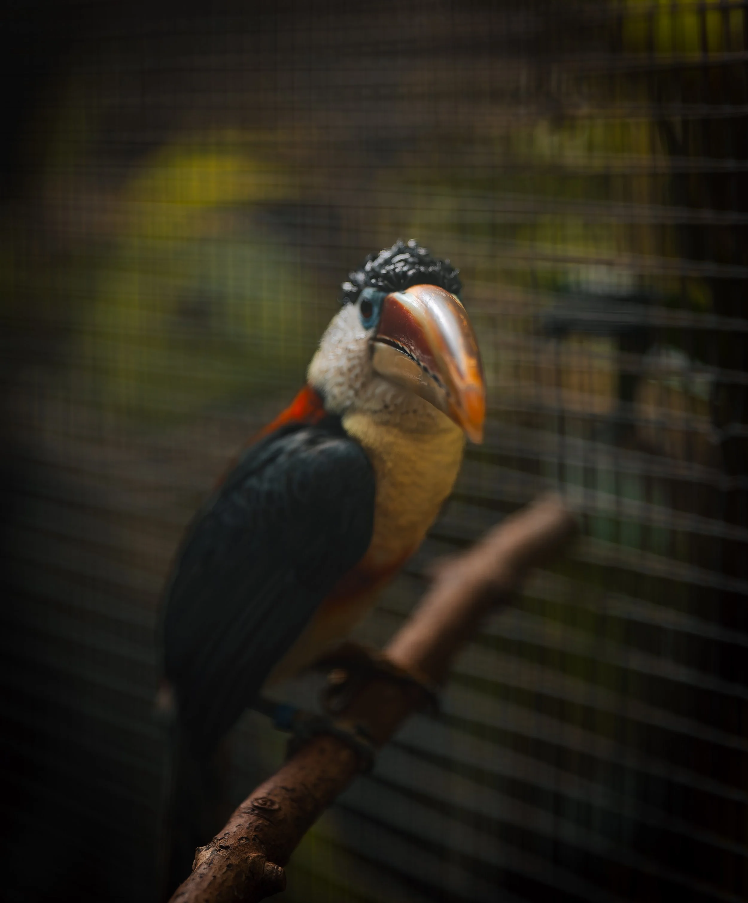 DSC09363_DxO.jpg