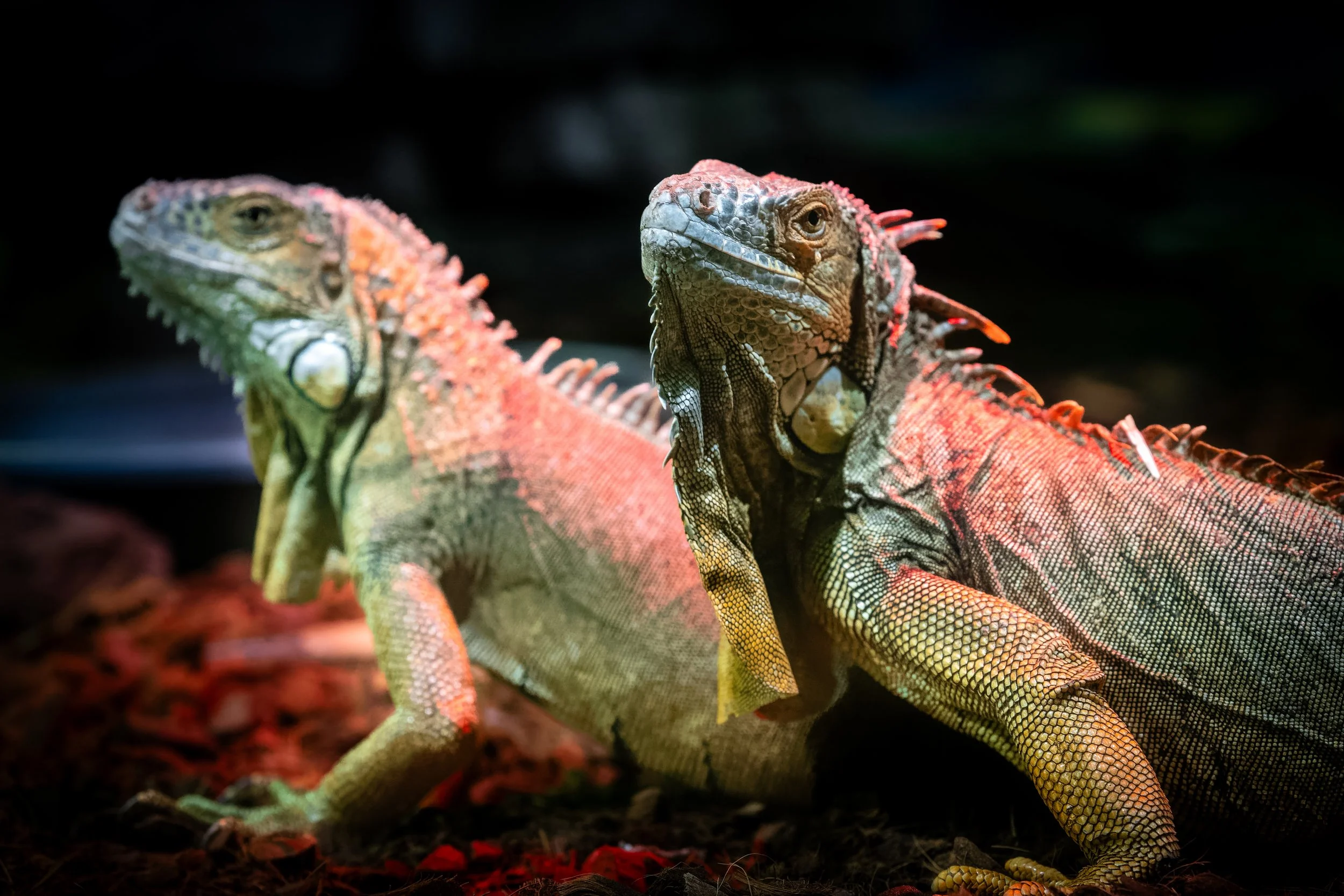 DSC02714_DxO.jpg