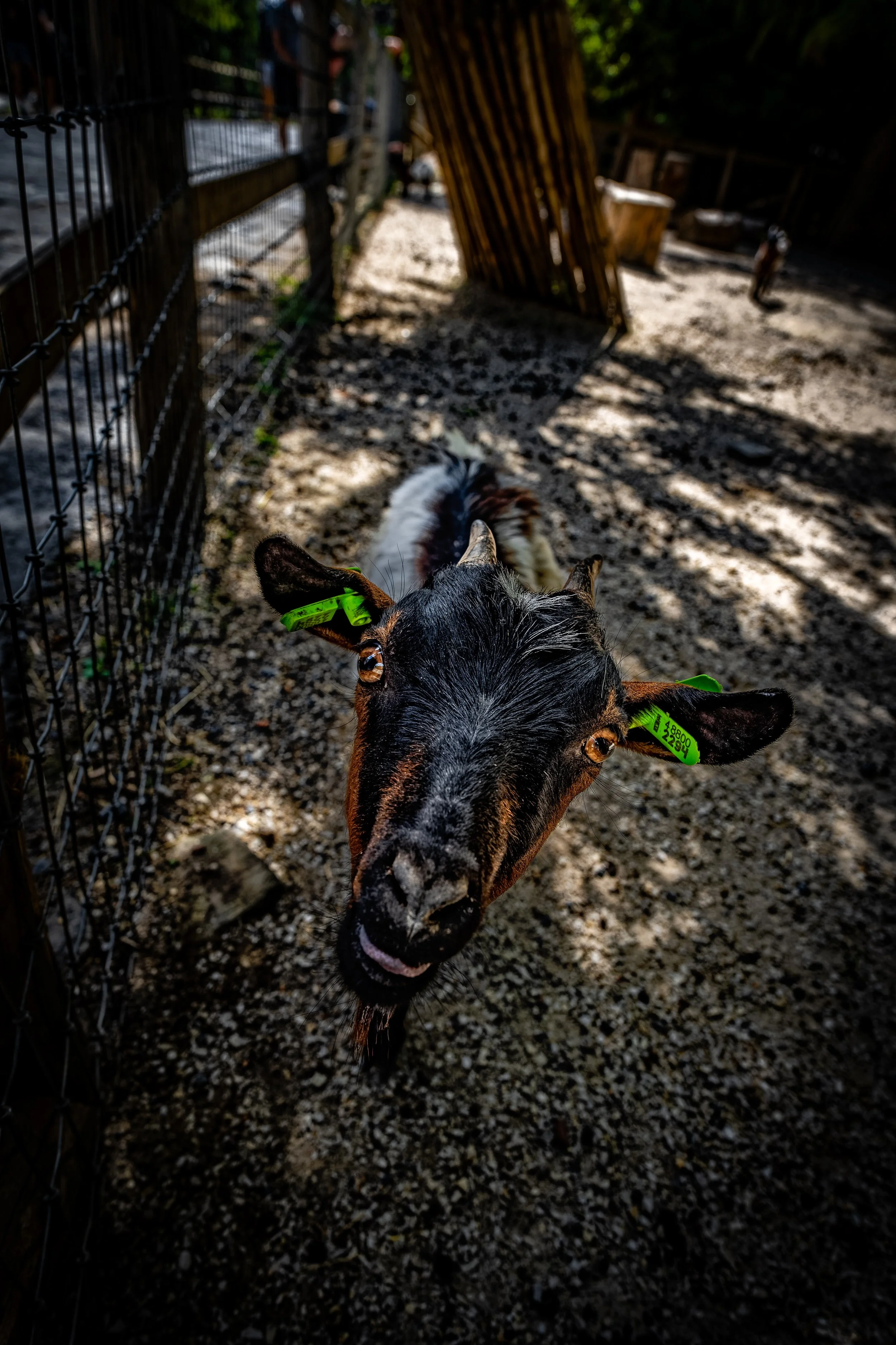 DSC04814_DxO.jpg