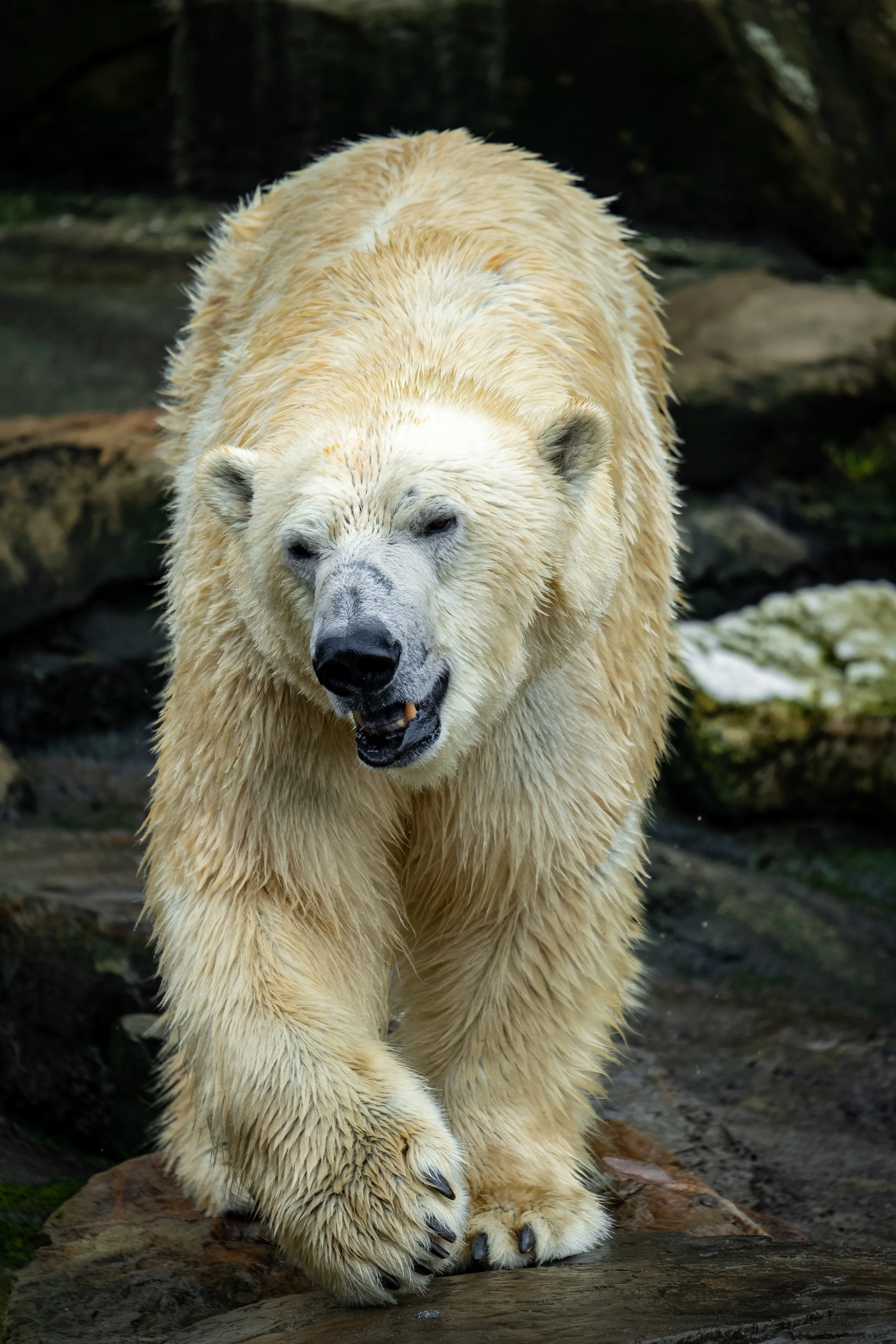 DSC02489_DxO.jpg