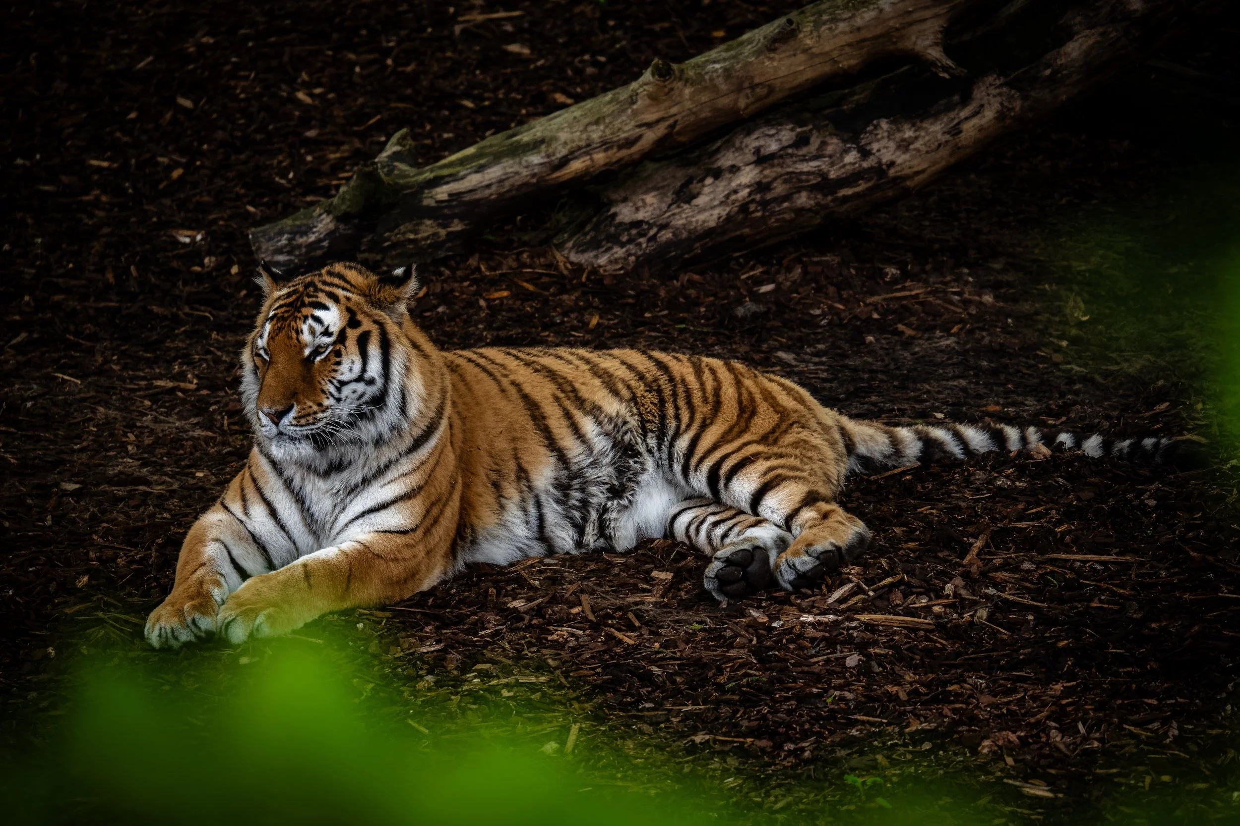 DSC02494_DxO.jpg