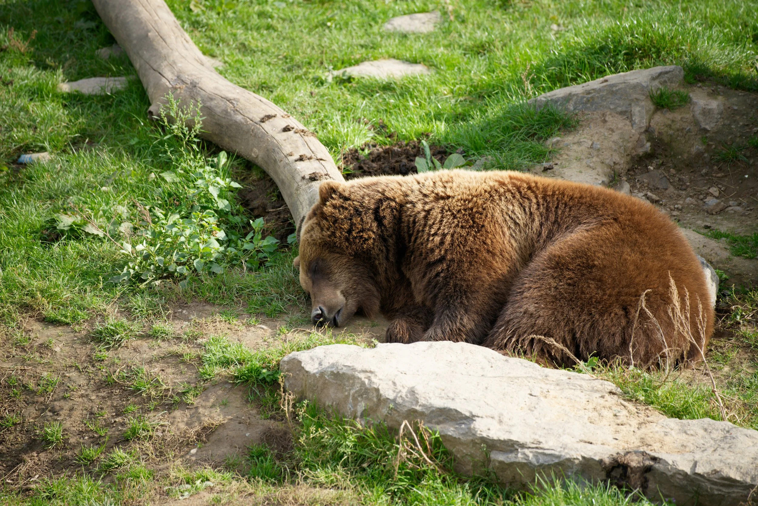 DSC07280_DxO.jpg