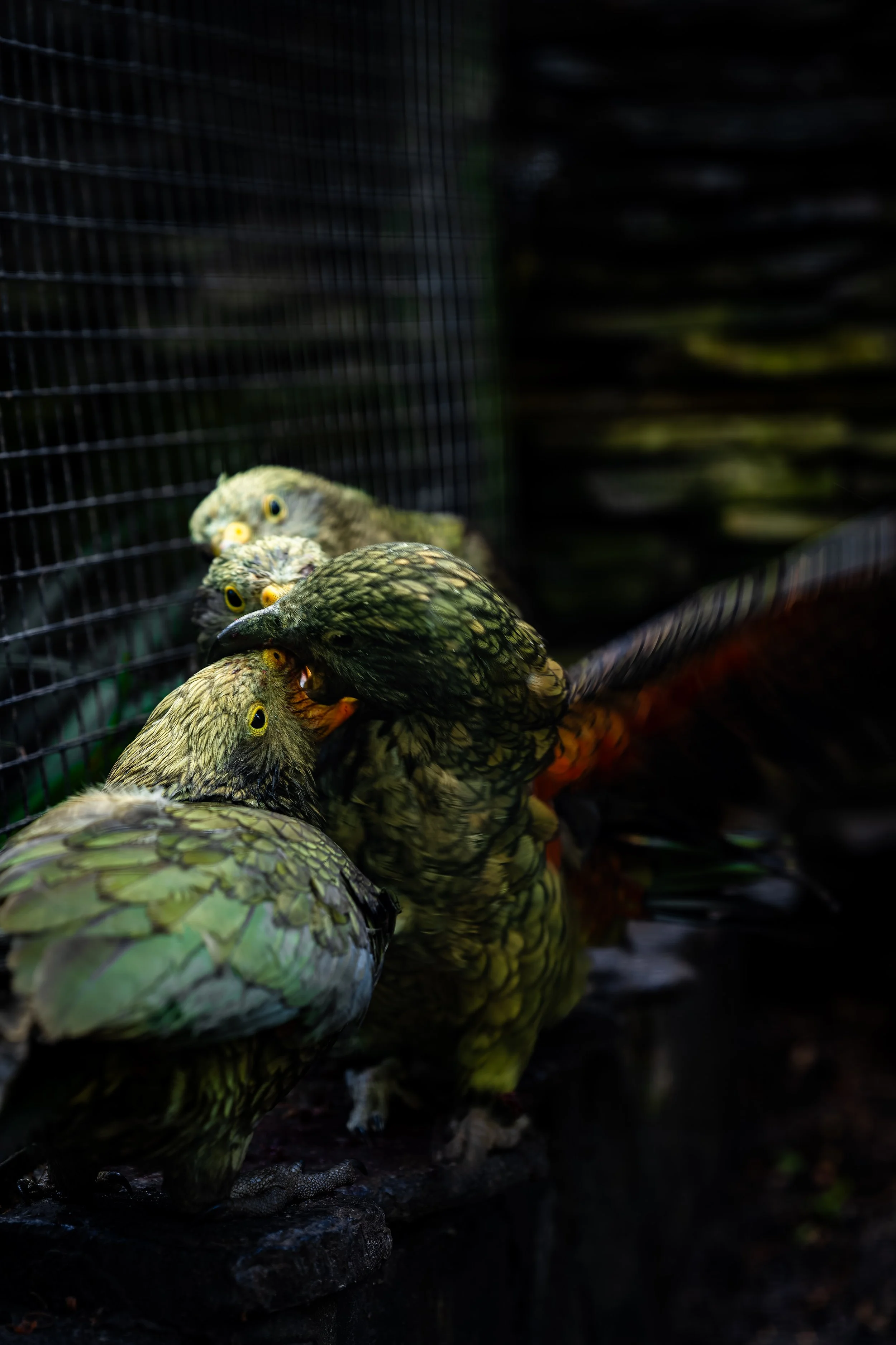 DSC09378_DxO.jpg