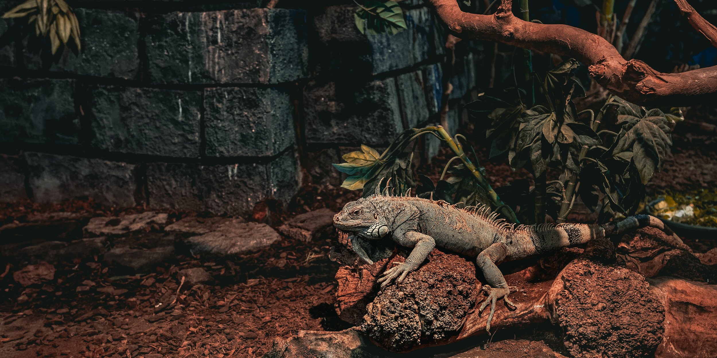 DSC04621_DxO.jpg