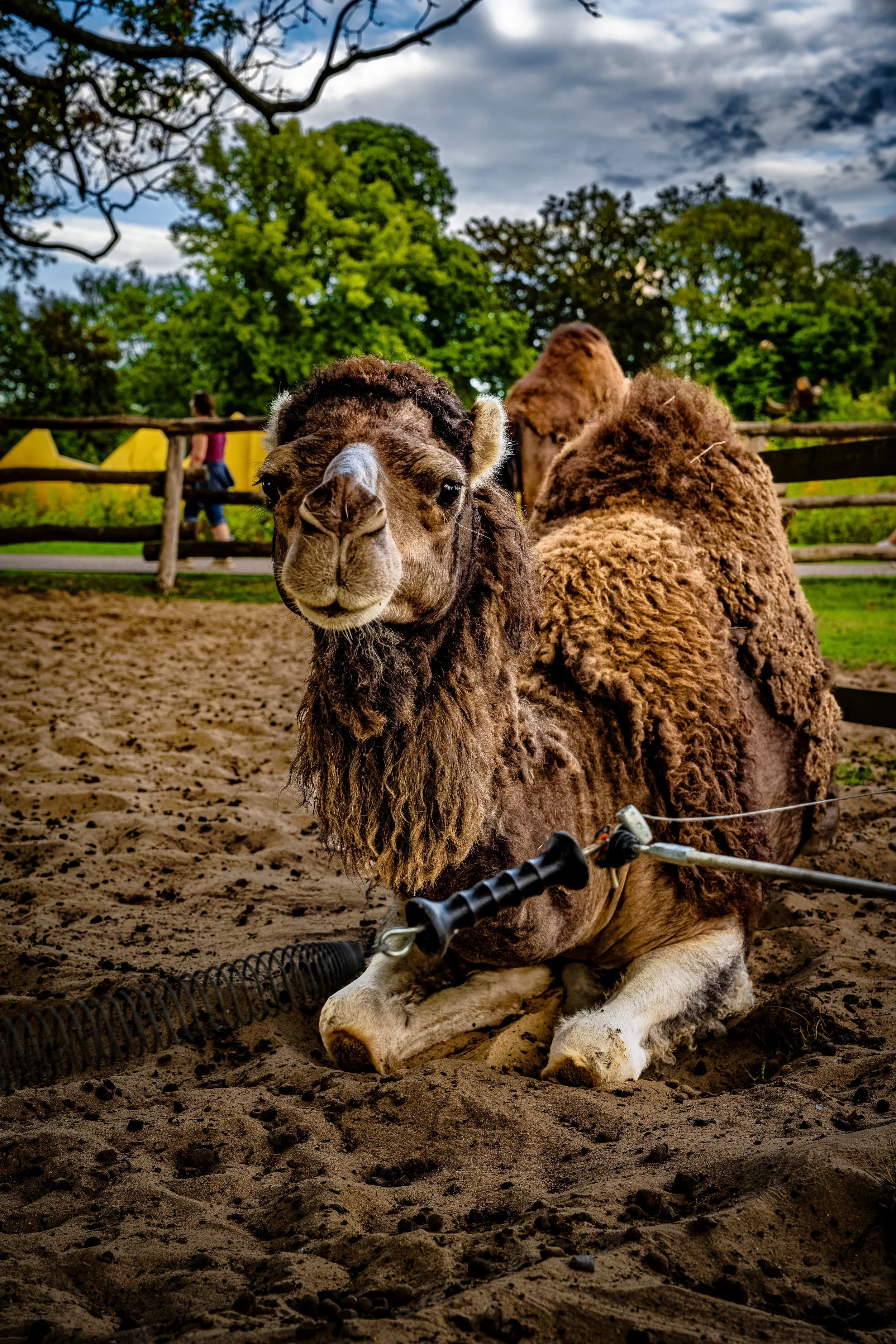 DSC05121_DxO_DxO.jpg