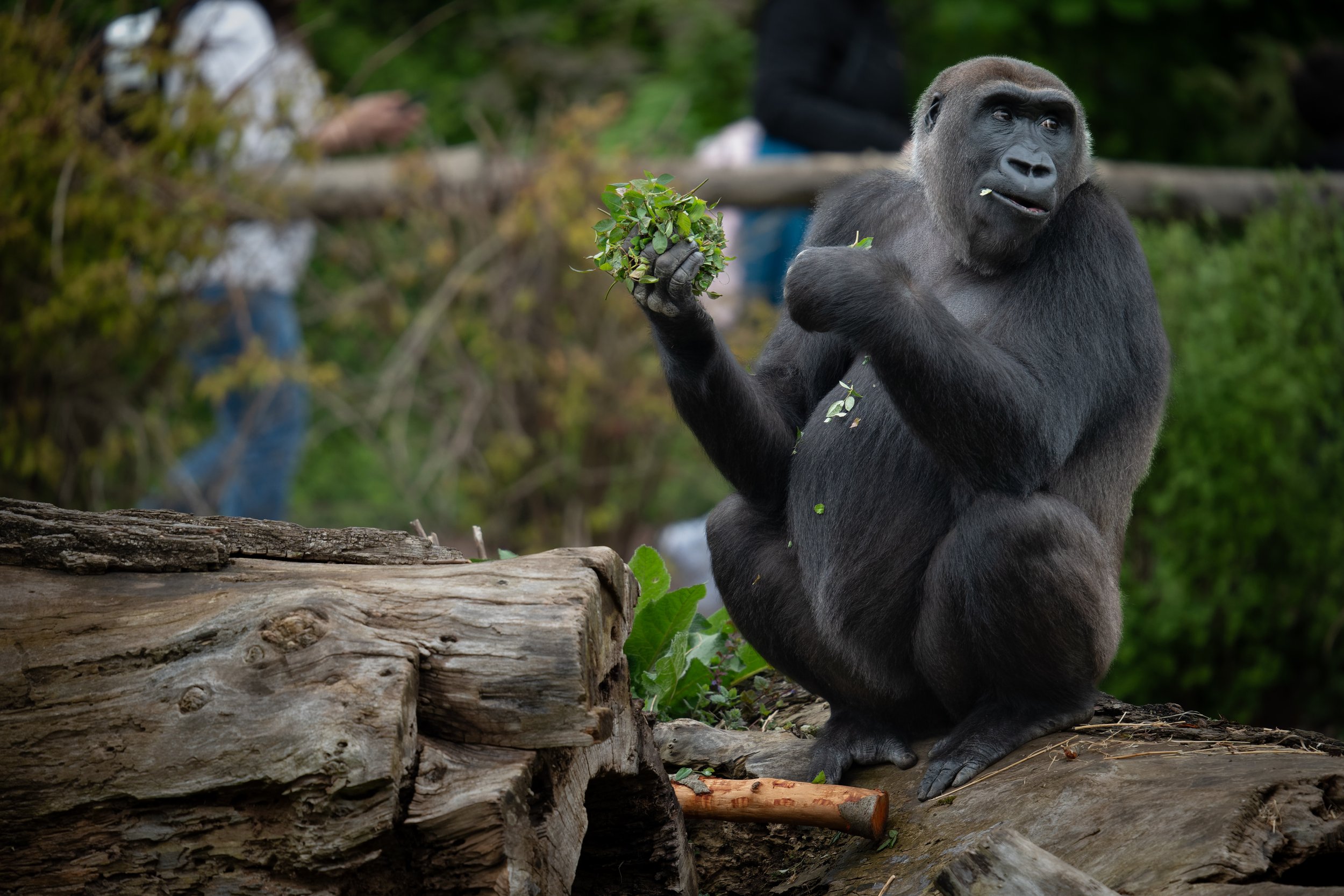 DSC02797_DxO.jpg
