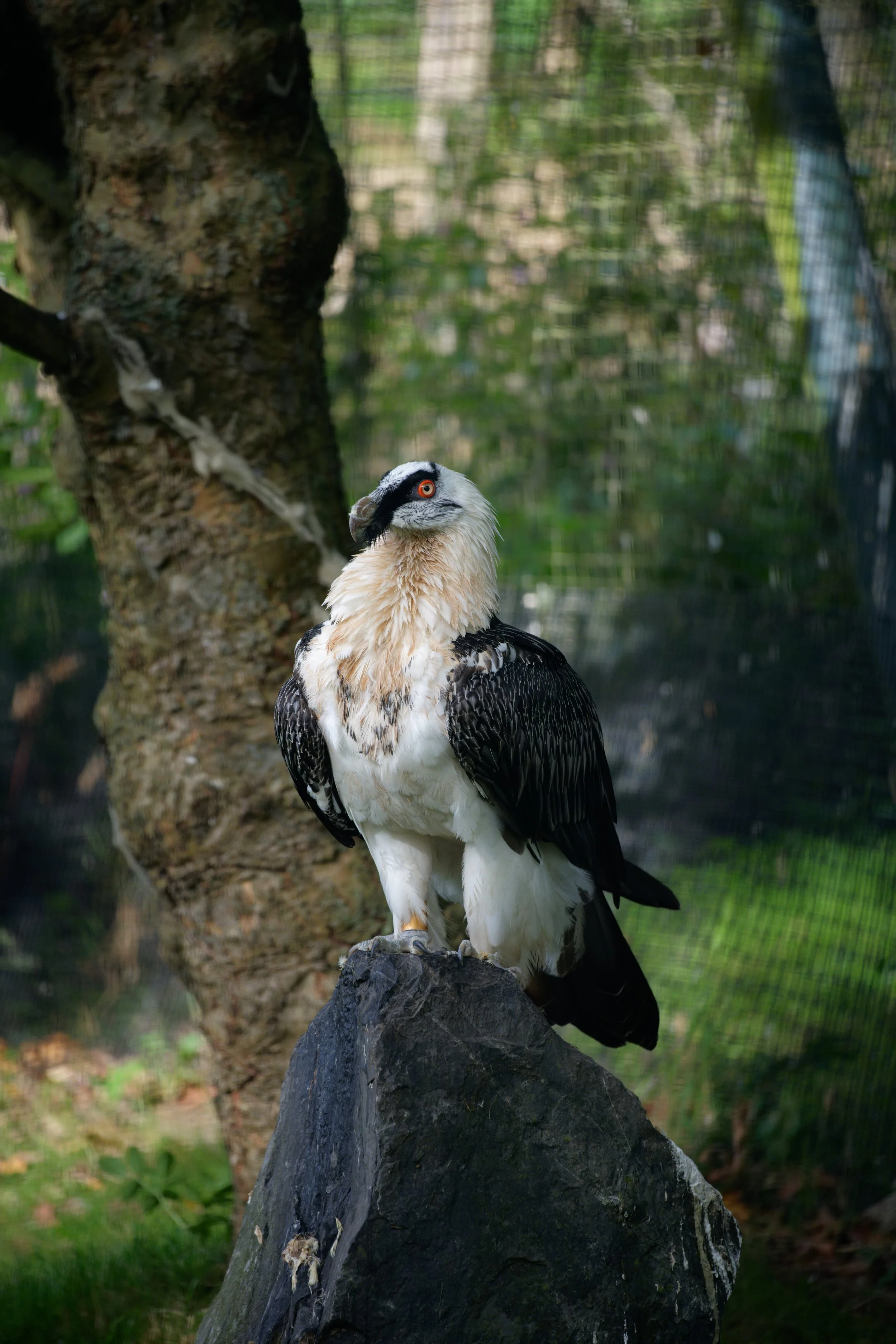 DSC07250_DxO.jpg
