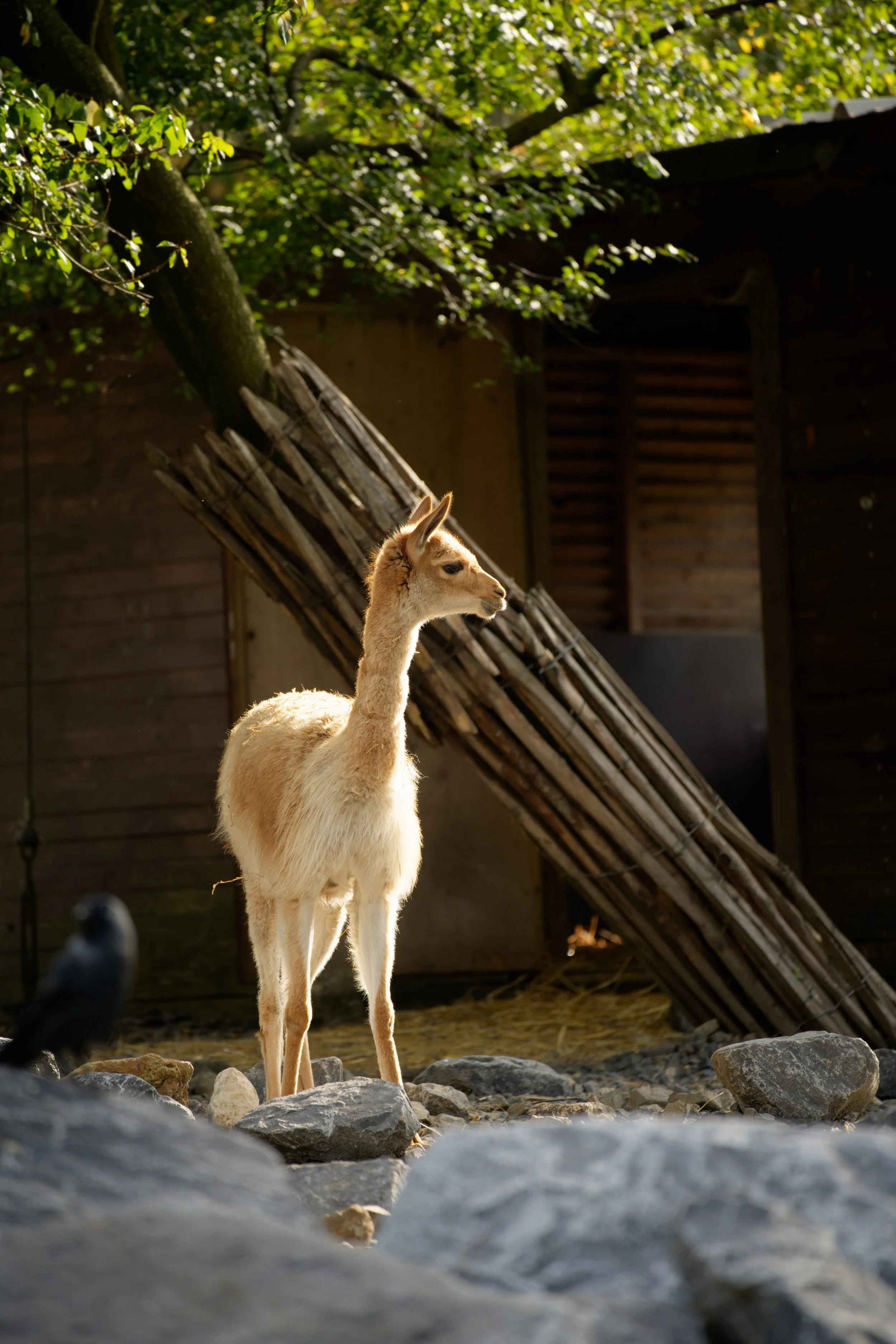 DSC07233_DxO.jpg