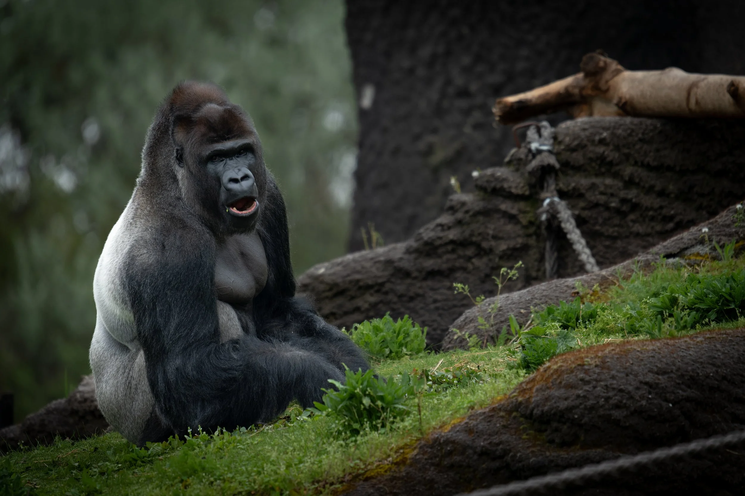 DSC02842_DxO.jpg