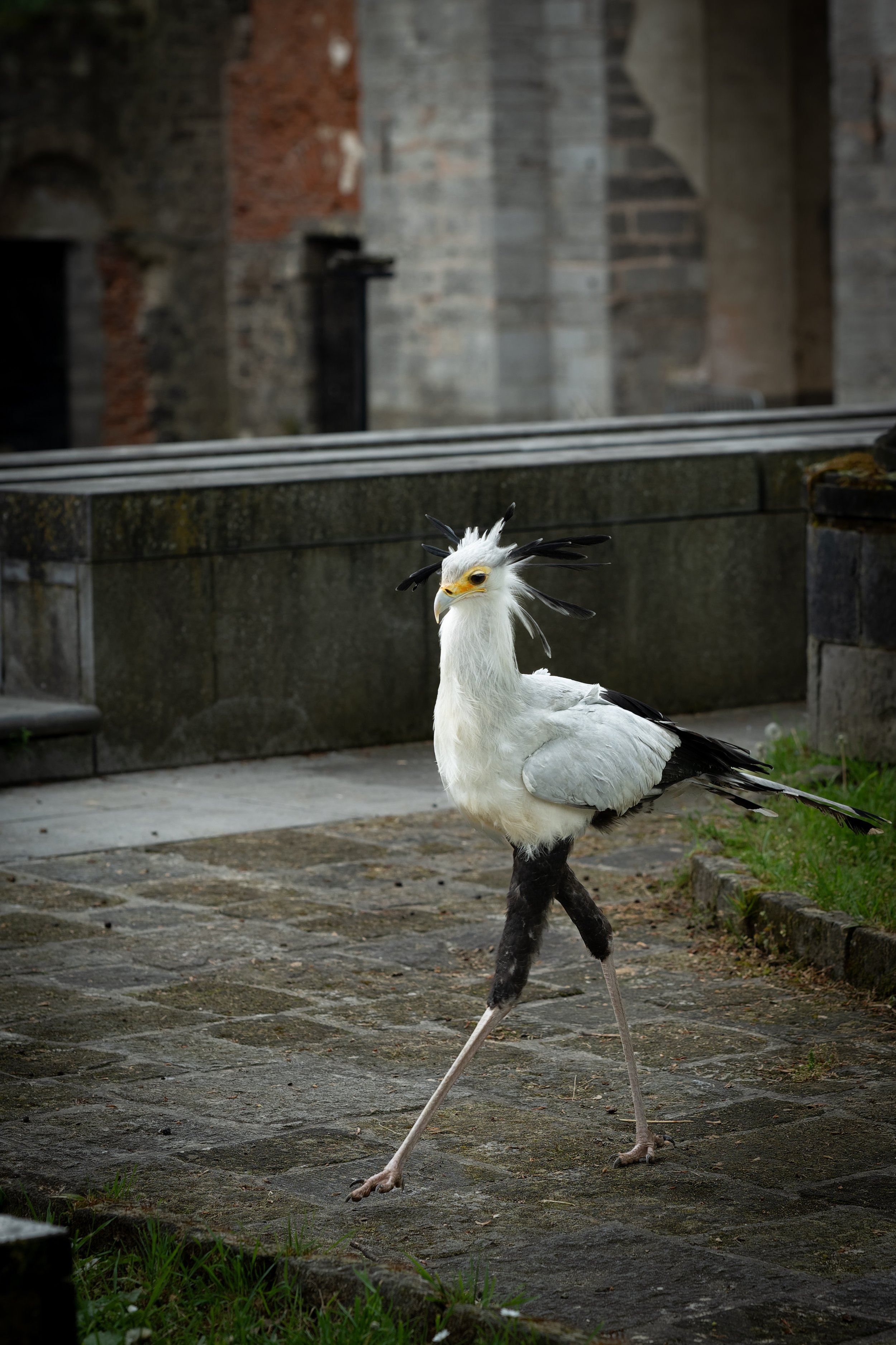DSC02938_DxO.jpg