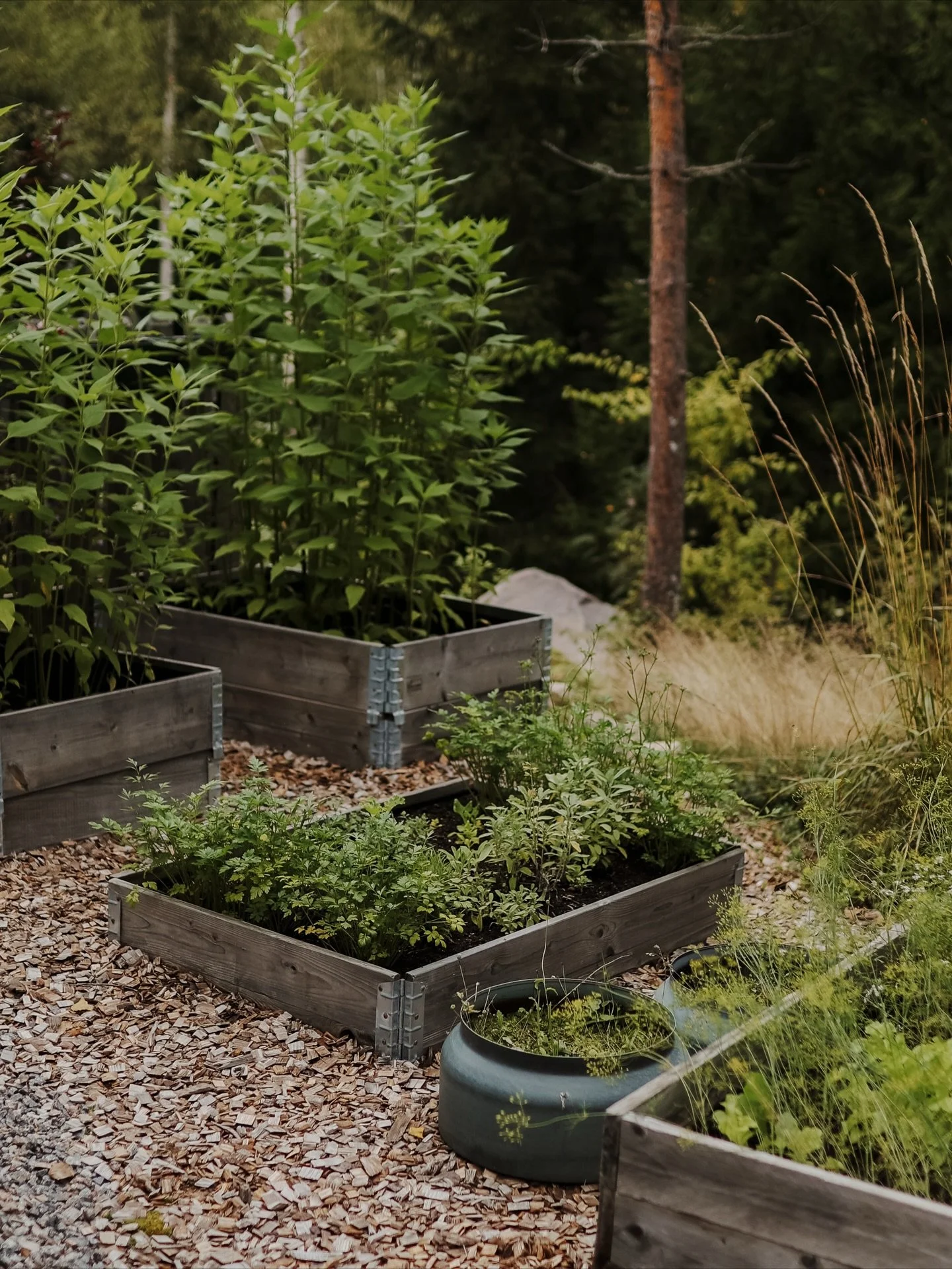 Aina kun katson n&auml;it&auml; kuvia, meinaan pakahtua t&auml;st&auml; tunteesta, joka n&auml;ist&auml; huokuu! 

Onko se RAUHA, luonnon tuoma varmuuden ja TURVAN tunne, t&auml;t&auml; pihaa rakentavien ja asuvien ROHKEUS, materiaalien ja kasvien yh