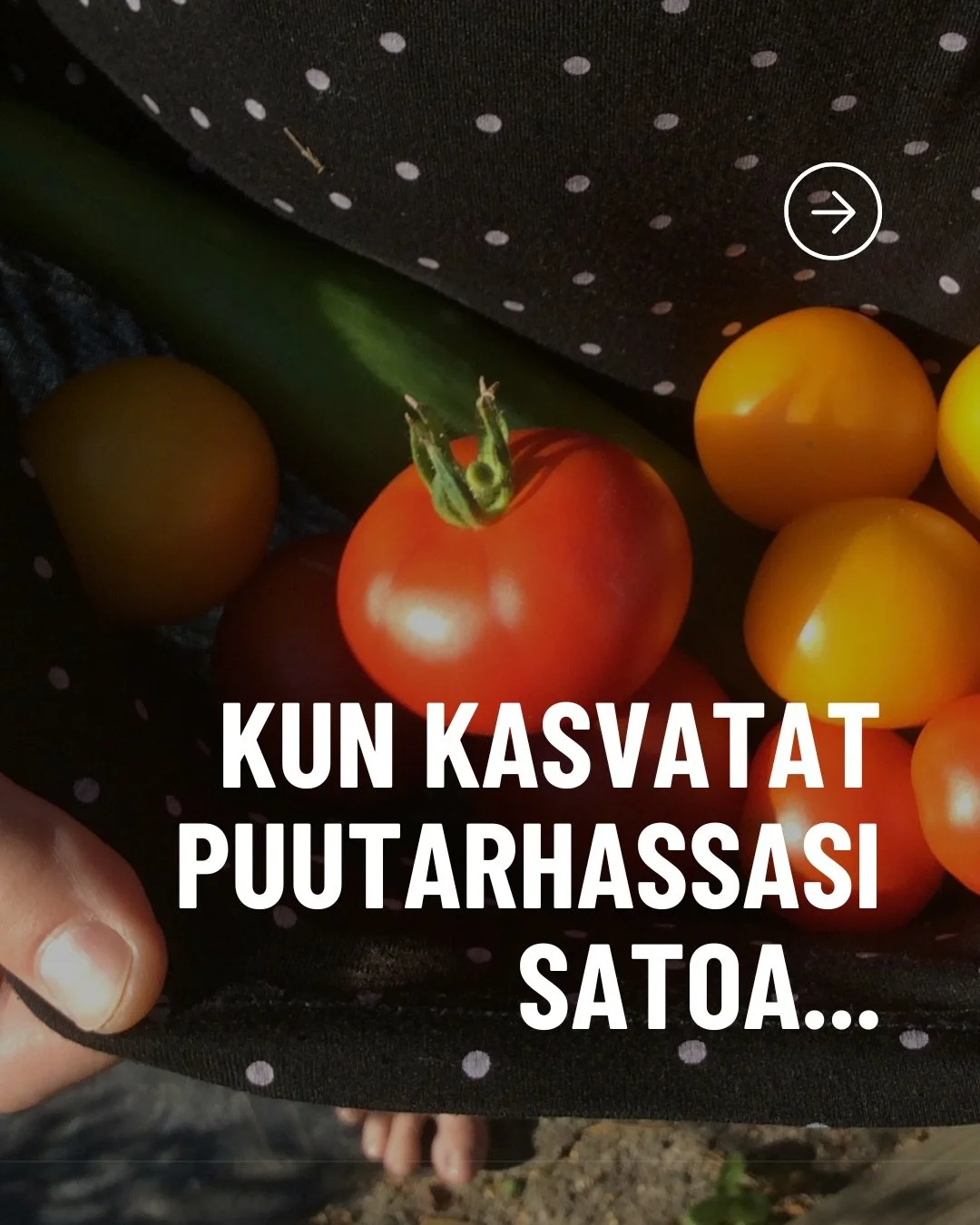 Upotat kev&auml;&auml;ll&auml; siemenen multaan. Et n&auml;e viel&auml; mit&auml;&auml;n. Multa n&auml;ytt&auml;&auml; samalta kuin ennenkin. Silti tied&auml;t, ett&auml; pinnan alla tapahtuu. Jotain on l&auml;htenyt liikkeelle.

Kun kasvatat puutarh