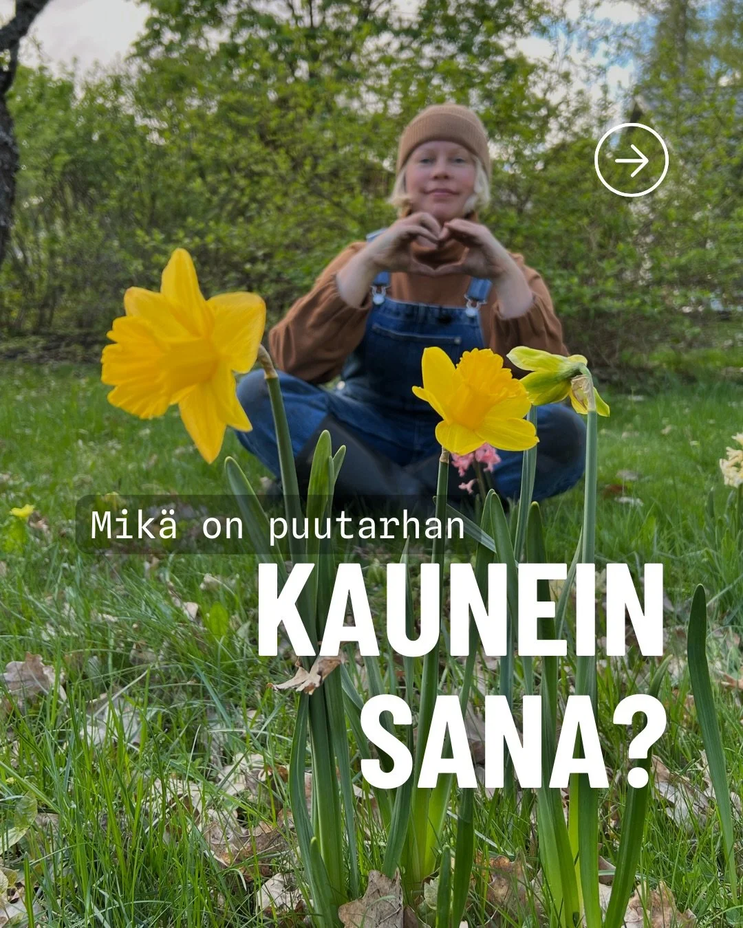 Kun l&auml;hdet kes&auml;ll&auml; puutarhaan kukkapenkkihommiin, menetk&ouml; repim&auml;&auml;n rikkaruohoja vai tutkimaan ja ohjaamaan kasvien kasvua? 🙄

Suuntaatko oksasaksien kanssa katkomaan pensaita vai hoitamaan niit&auml;? 😧

Kuritatko kasv