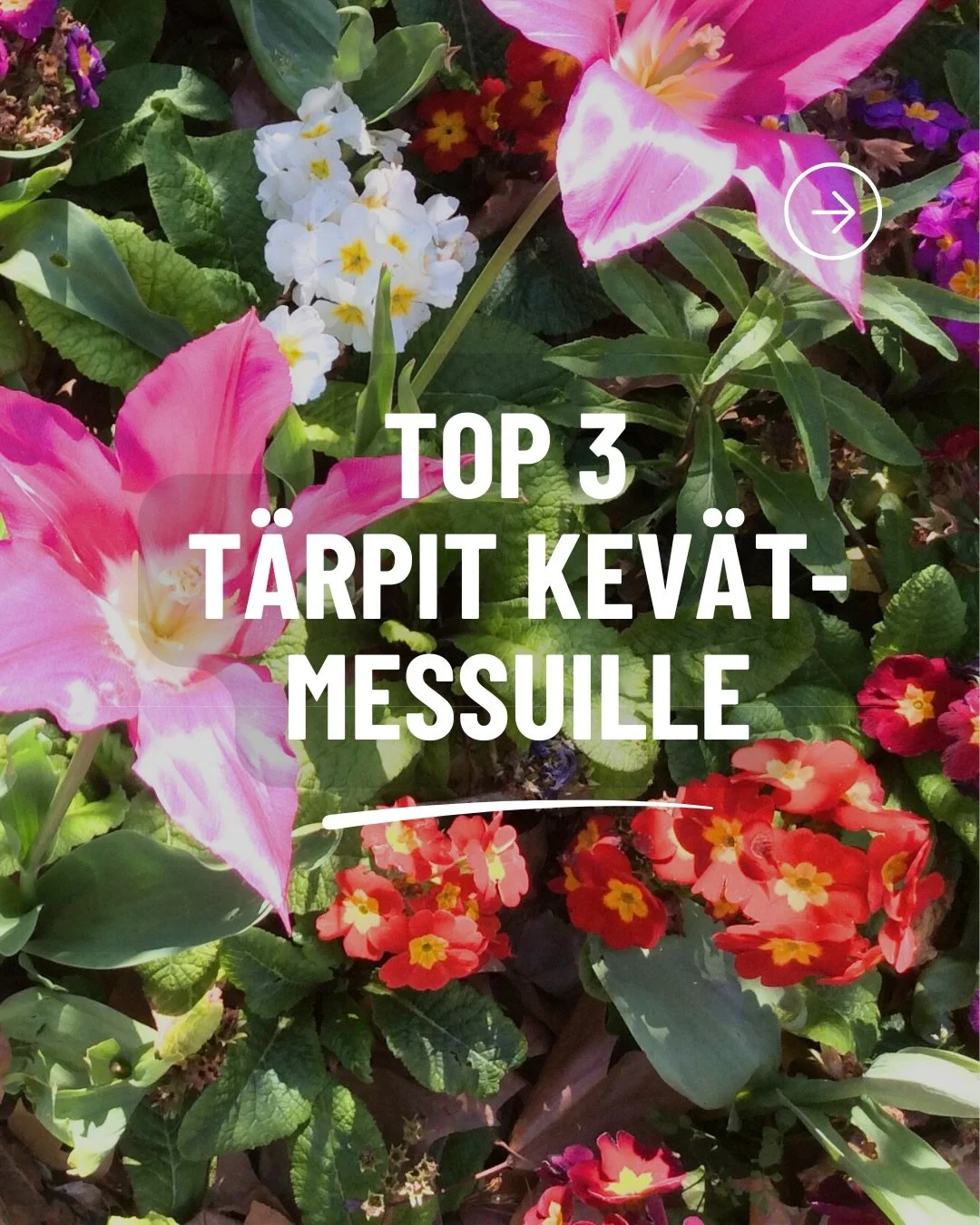 ☀️Mainos &amp; etukoodi @kevatmessut_official 

Pian ollaan t&auml;ydess&auml; Kev&auml;thuumassa, kun Kev&auml;tmessut avautuvat Helsingin Messukeskuksessa. Tapahtumassa on huikeasti n&auml;ht&auml;v&auml;&auml; 🤗 Siksi nostan sinulle kolme t&auml;