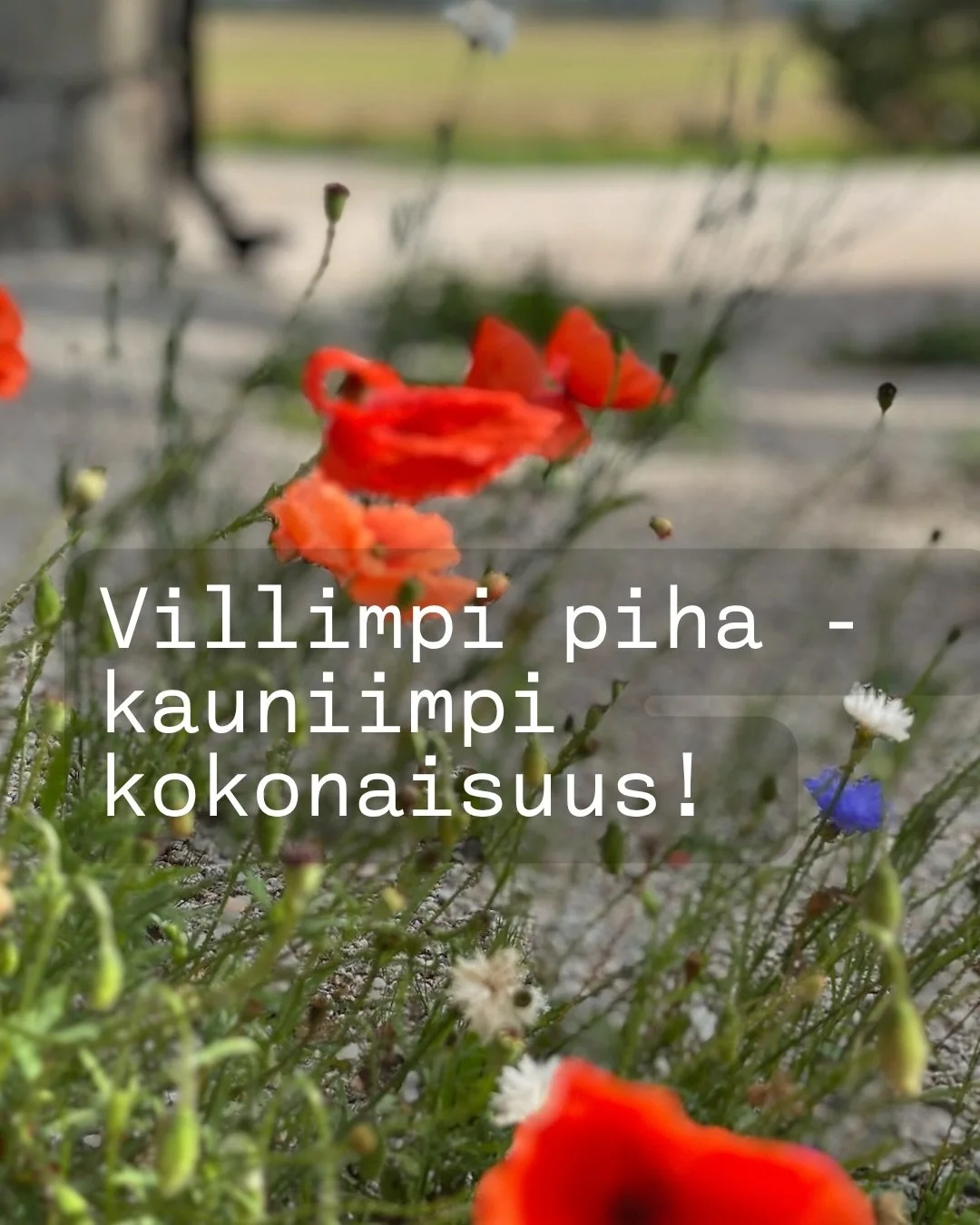 Toukokuu voi olla ihan uusi alku sinulle ja puutarhallesi 🥰 Alku sellaiselle kes&auml;lle, jolloin katsot pihaasi uusin silmin. Tunnet ylpeytt&auml; ja merkityksellisyytt&auml; ja nautit kaikesta, mit&auml; puutarhassa tapahtuu. 

Puutarhan ei tarvi