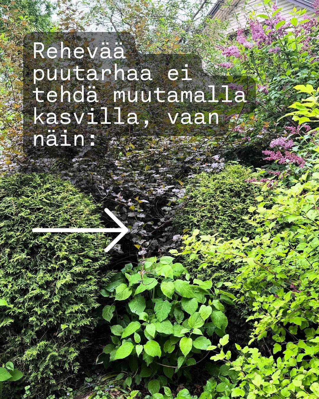 Hei sin&auml; siell&auml;! 🤗 Anna kasviesi kasvaa, kehitty&auml; ja kukoistaa! 

Kasvillisuus on pihan el&auml;v&auml; ja koko ajan muuttuva osa, aivan toisenlainen elementti kuin pihan kovat pinnat ja rakenteet. 

Et saavuta koskaan vehreytt&auml; 