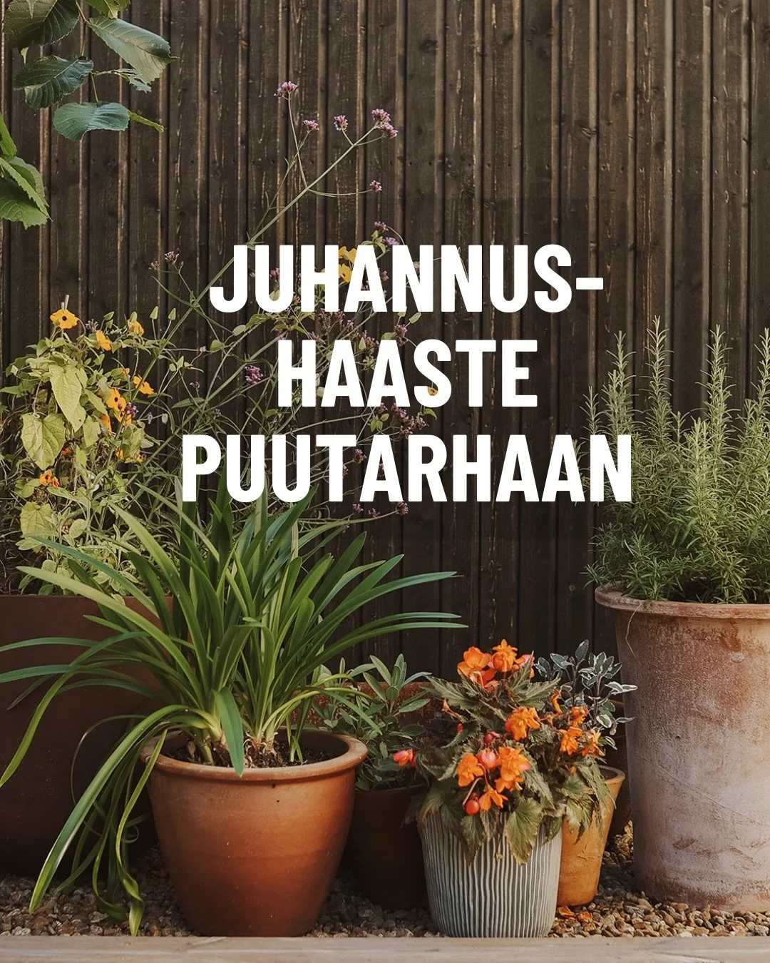 No et varmaan kaipaa mit&auml;&auml;n ty&ouml;listoja juhannukseksi, mutta t&auml;ss&auml; sulle pieni haaste❤️🥰 Etenkin viimeinen kohta on tosi vaikea! 

Ihanaa juhannusta! 🥰

✨Ps. Jos sun kukkapenkist&auml; puuttuu kauneus ja rytmi eik&auml; juha