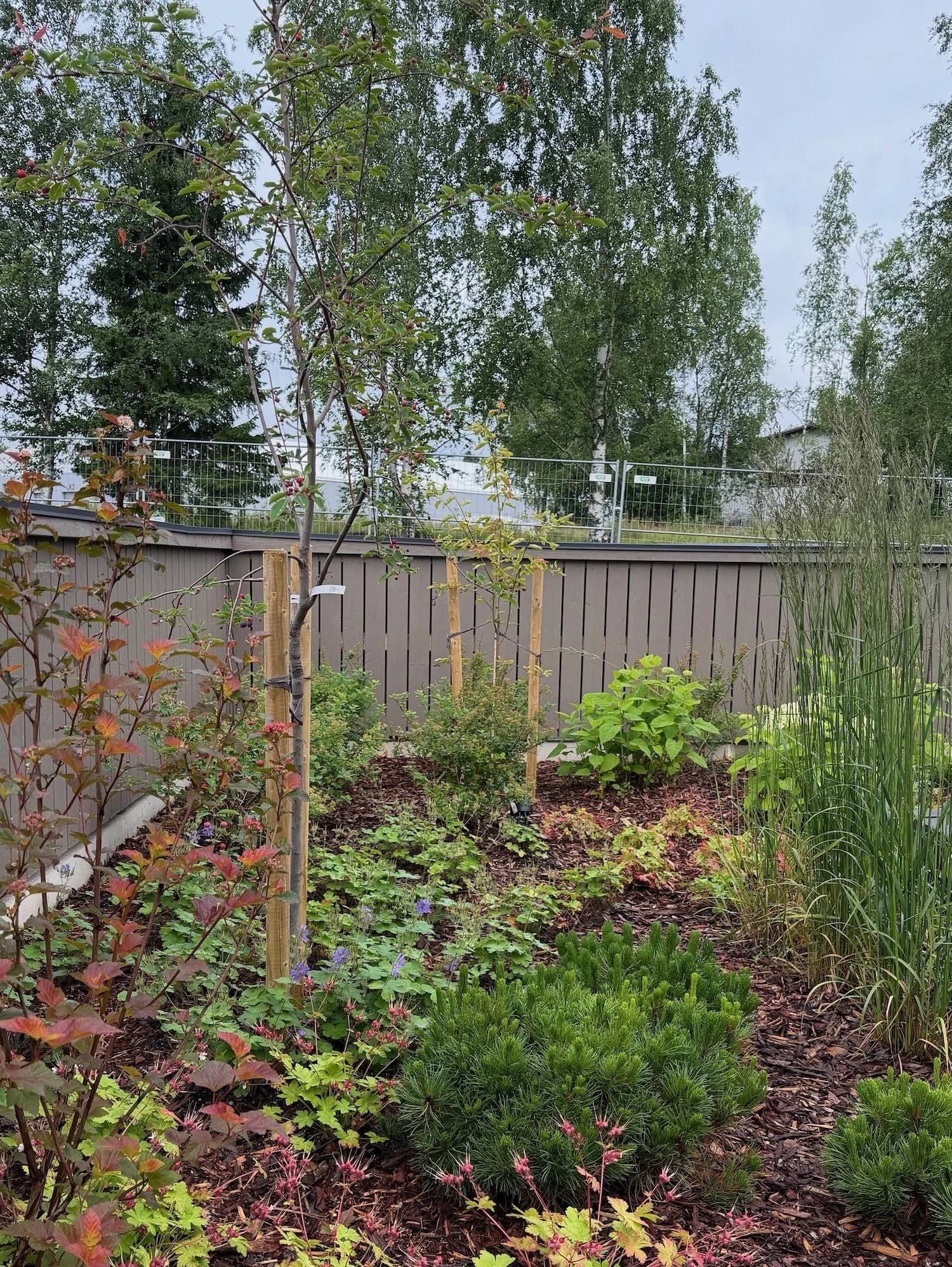 Lempäälän asuntomessut: Villa Tervan kompakti sisäpiha