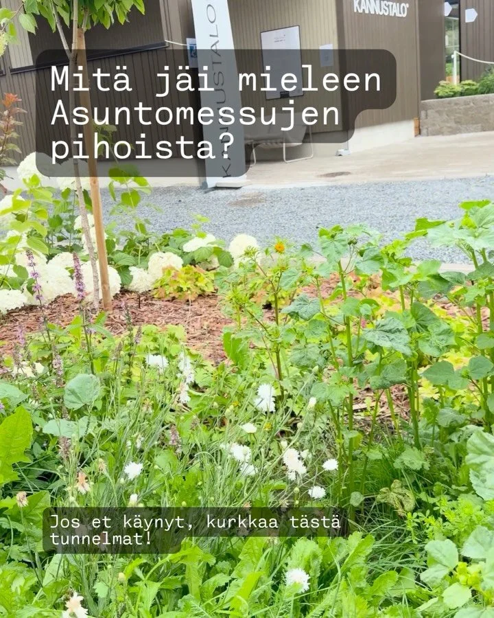 Mit&auml; sulla j&auml;i mieleen asuntomessupihoista? 

N&auml;iden mietteiden lis&auml;ksi voisin viel&auml; mainita sen, ett&auml; kuorikate oli aika isossa roolissa pihan pintamateriaalina. Kuorikatehan ei ole varsinainen pihan pintamateriaali, va