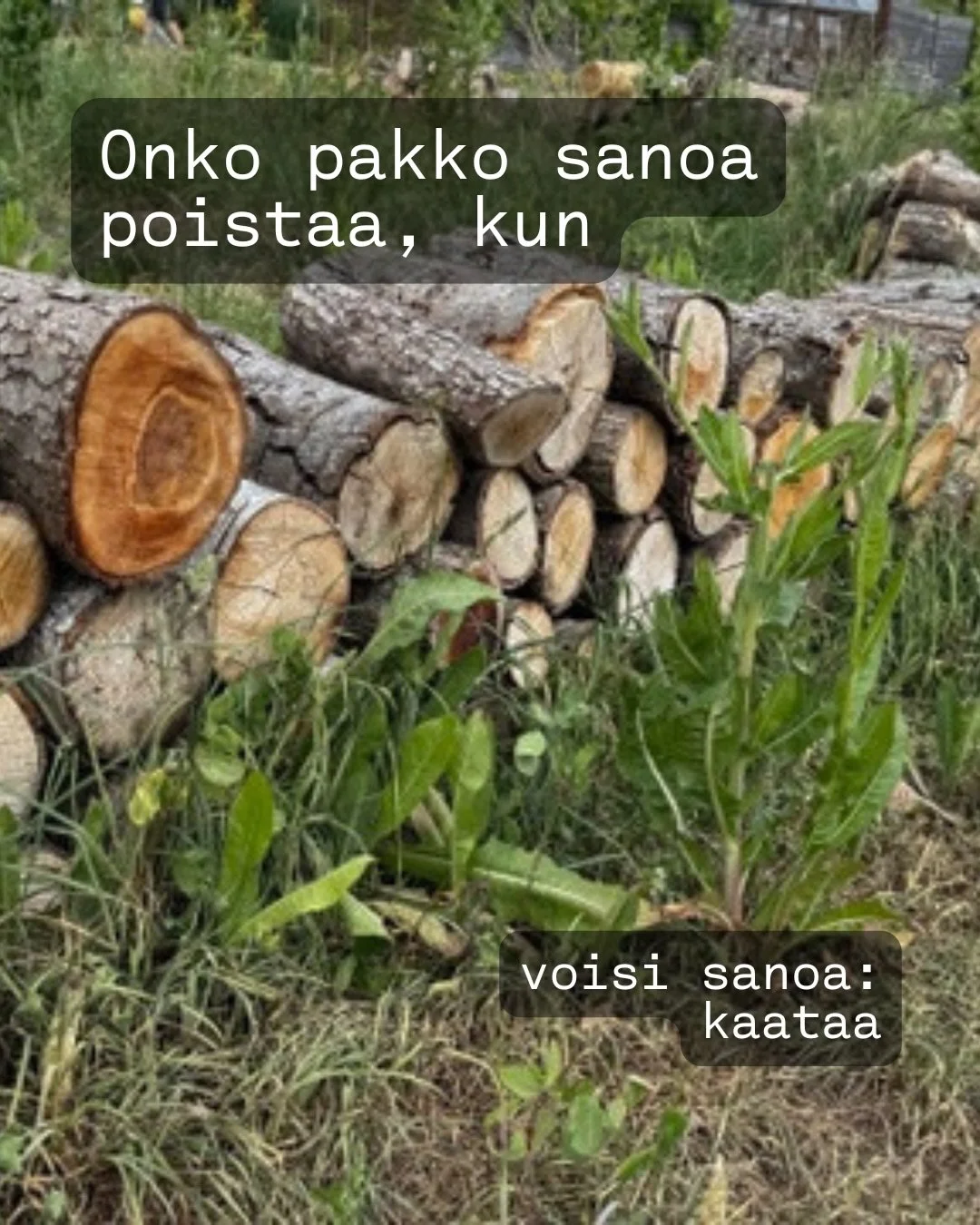 Oletko huomannut, ett&auml; en&auml;&auml; ei julkisesti juuri puhuta puiden kaatamisesta, vaan poistamisesta? 

Poistaminen kuulostaa silt&auml;, ett&auml; poistetaan jotakin, mutta se voidaan tuoda takaisin. Kaataminen viittaa kuolemiseen, peruutta