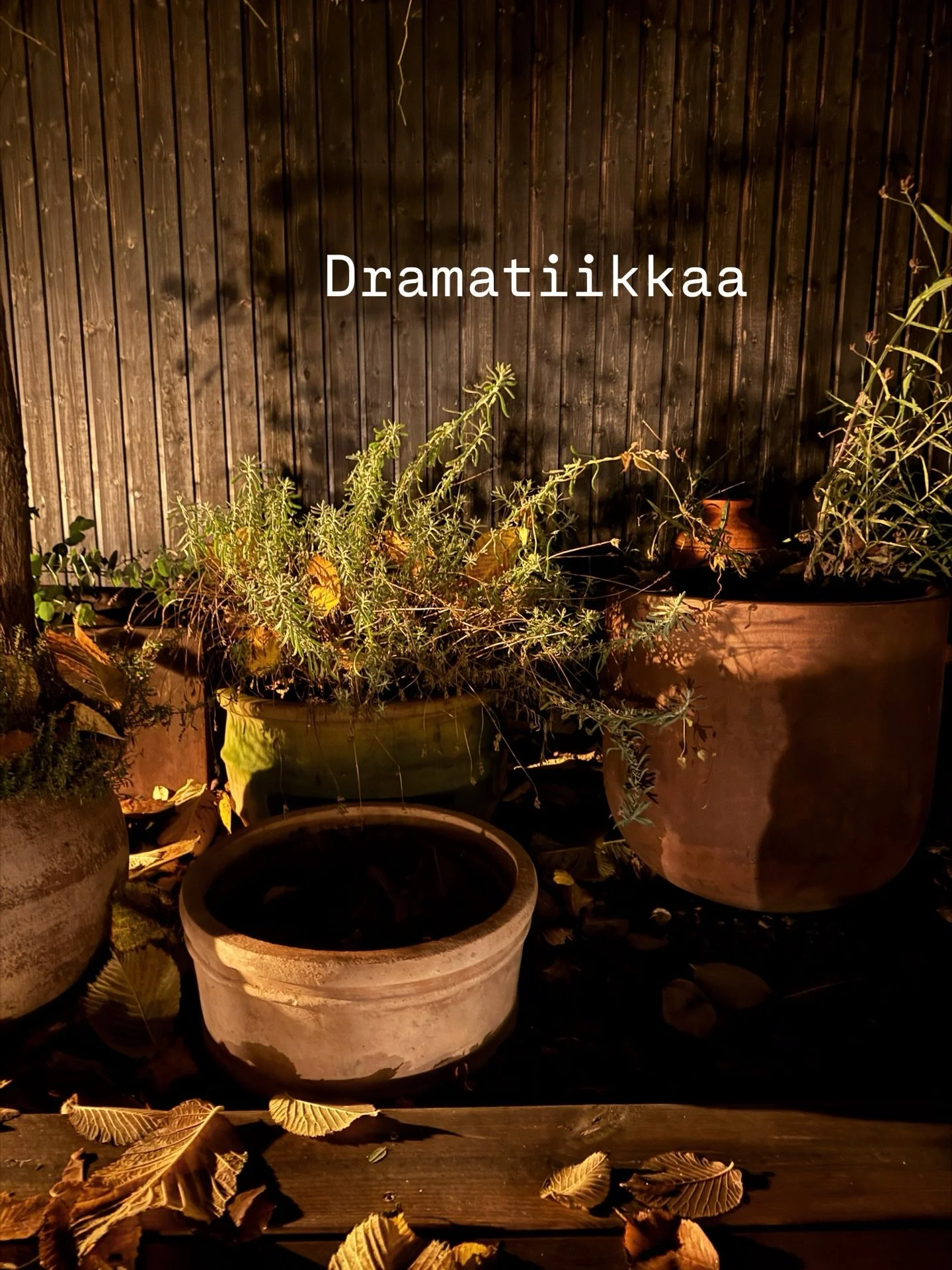 Suomi ON pitk&auml; maa. 

Mit&auml; sun puutarhasta l&ouml;ytyy nyt lokakuussa? Jotakin vai kaikkia n&auml;ist&auml;? Vai jotain ihan muuta?