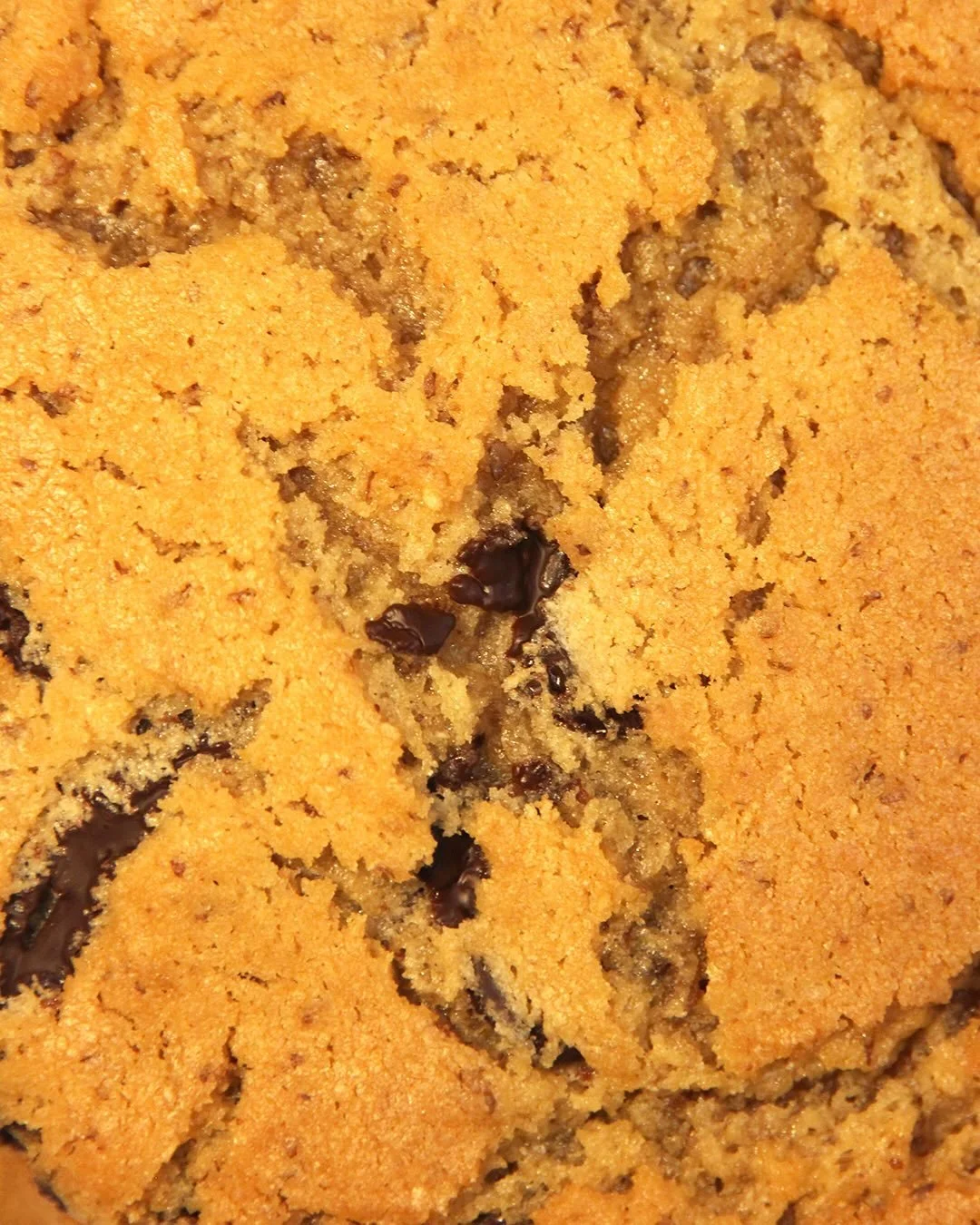 Something sweet for January 💙

Our Vegan Peanut Butter Cookie is packed with dark chocolate chunks and baked fresh daily 🥜🍪

A simple treat to enjoy with your coffee ☕️

#artisianbakery #belfastbakes #discoverni