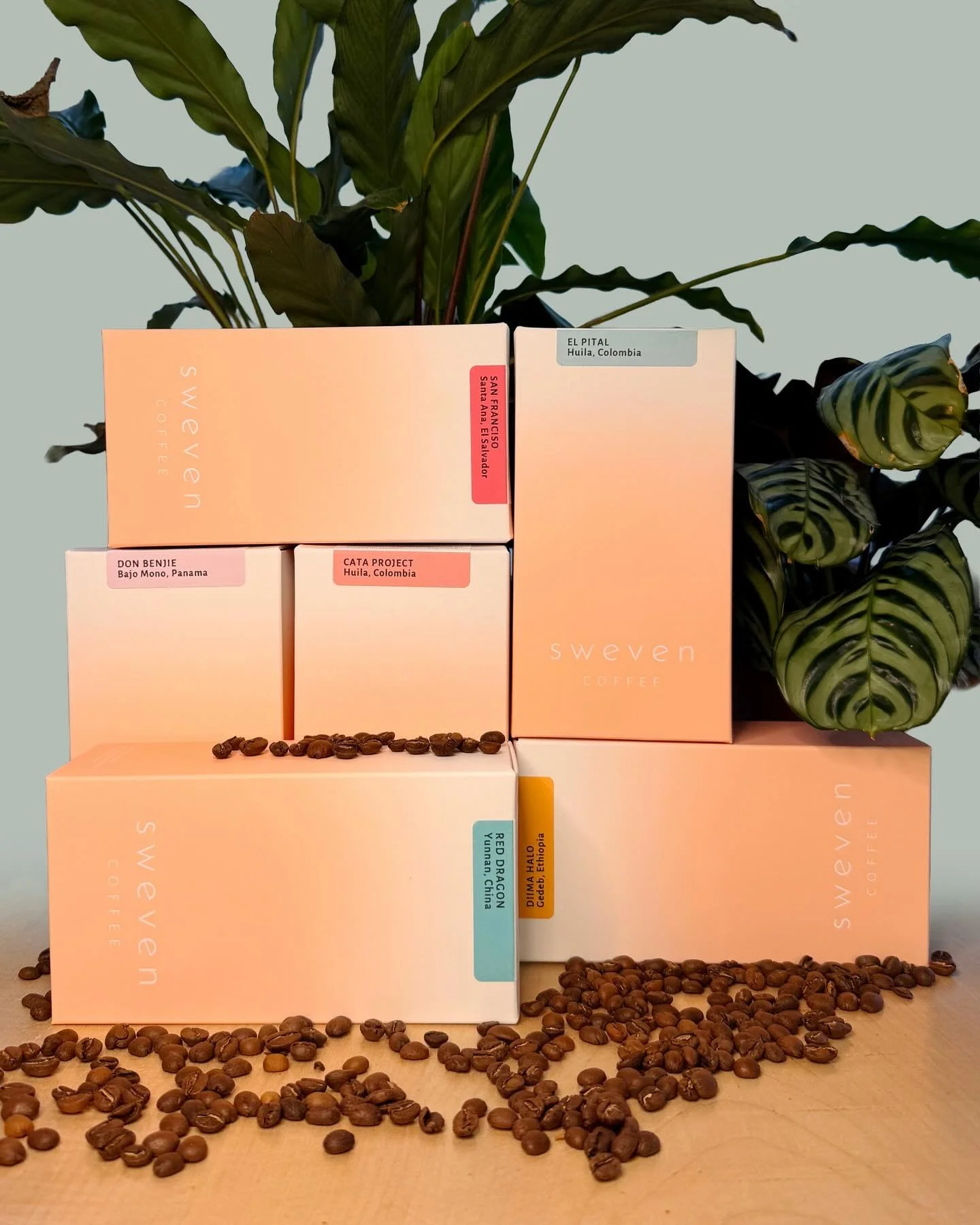 TAKE HOME @swevencoffee ☕️🏡

Sweven coffee beans are committed to quality, rooted in precision, purpose &amp; a deep respect for the people behind every bean.

We have a range of different beans for you to try so there is something for every coffee 