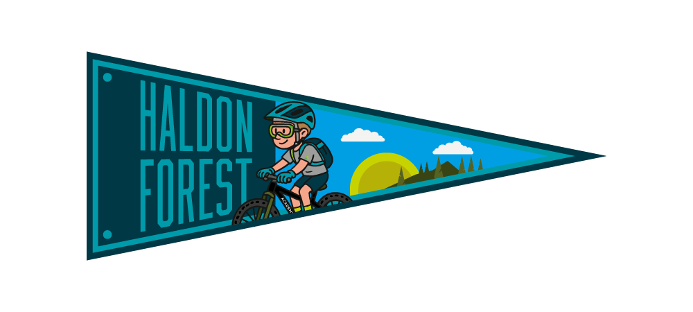 Haldon Forest, Devon