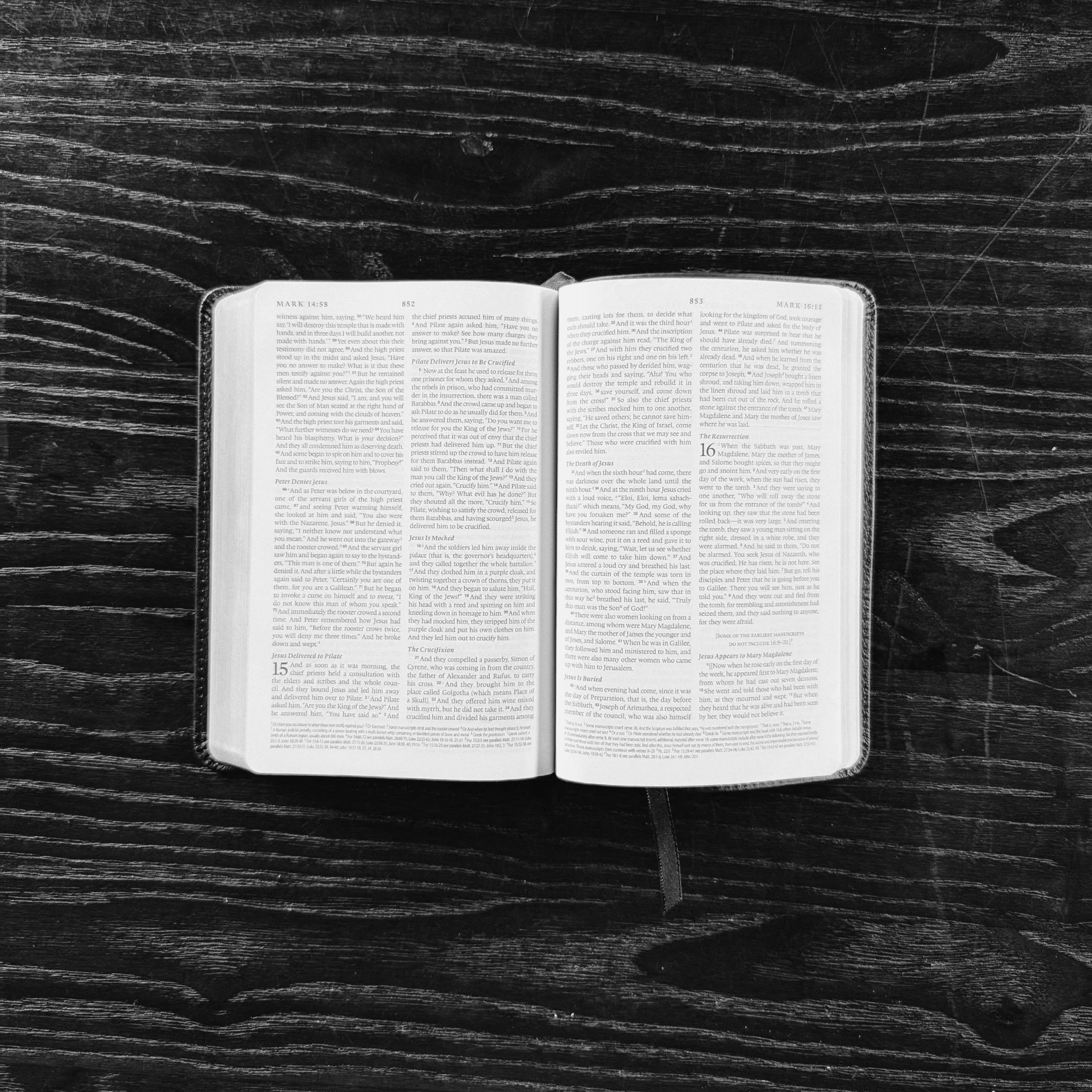 Abide in Jesus Daily