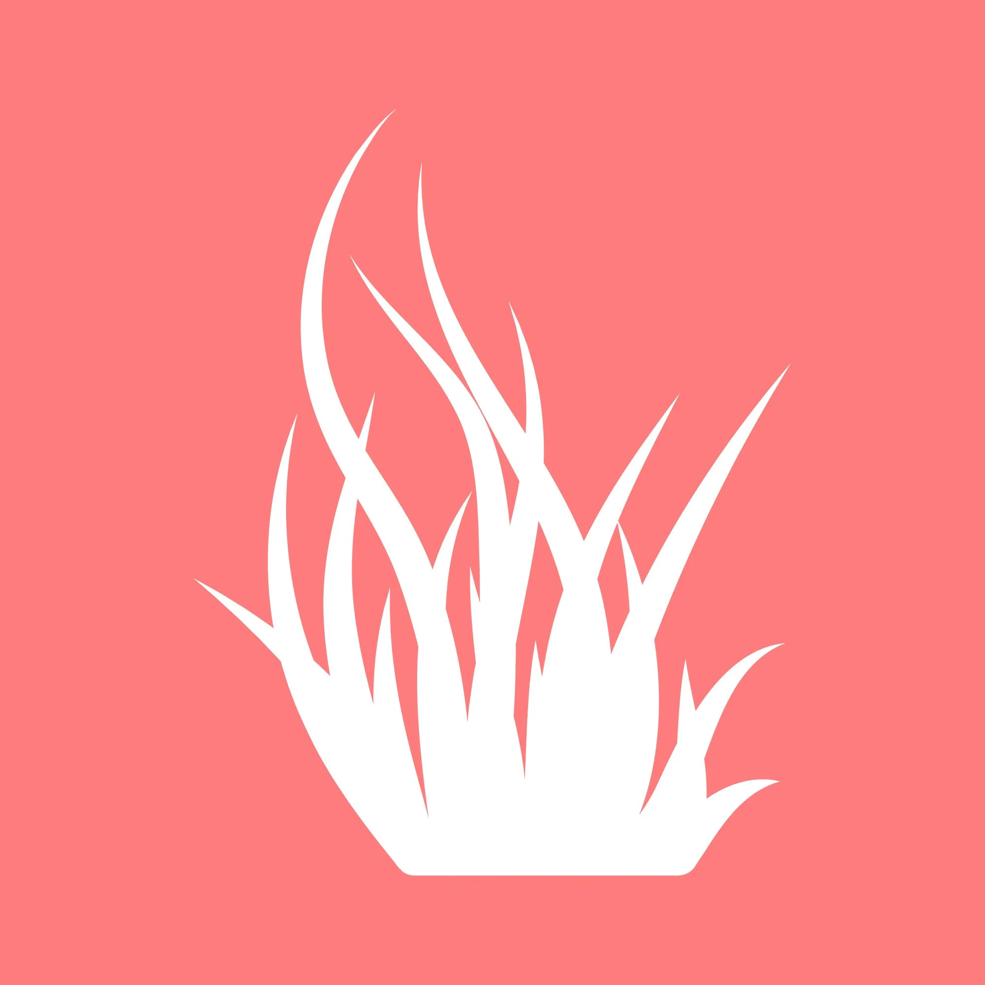 Ocean Conservation Trust - Sea Grass