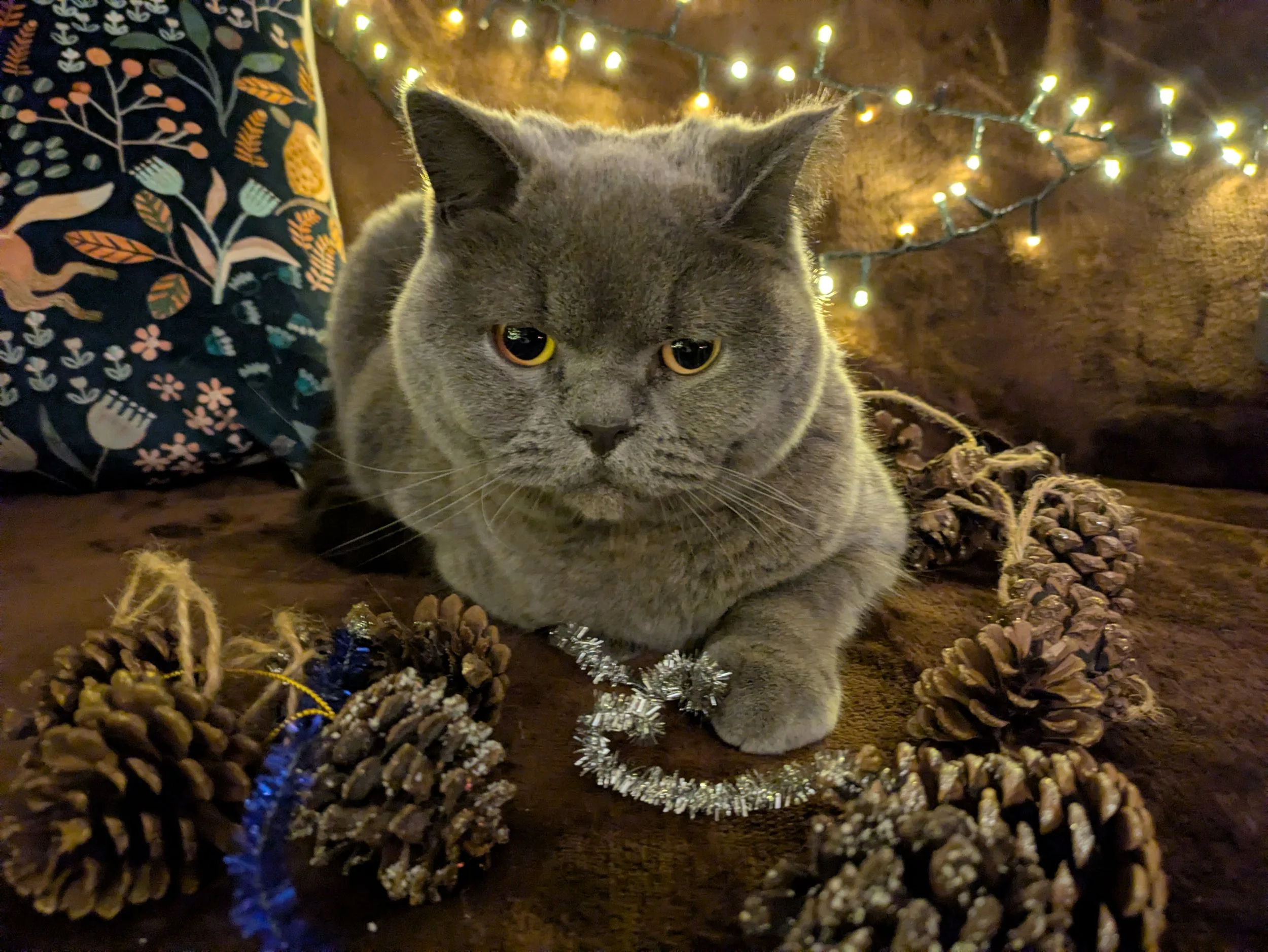 Hook Home Help is helping people get ready for Christmas