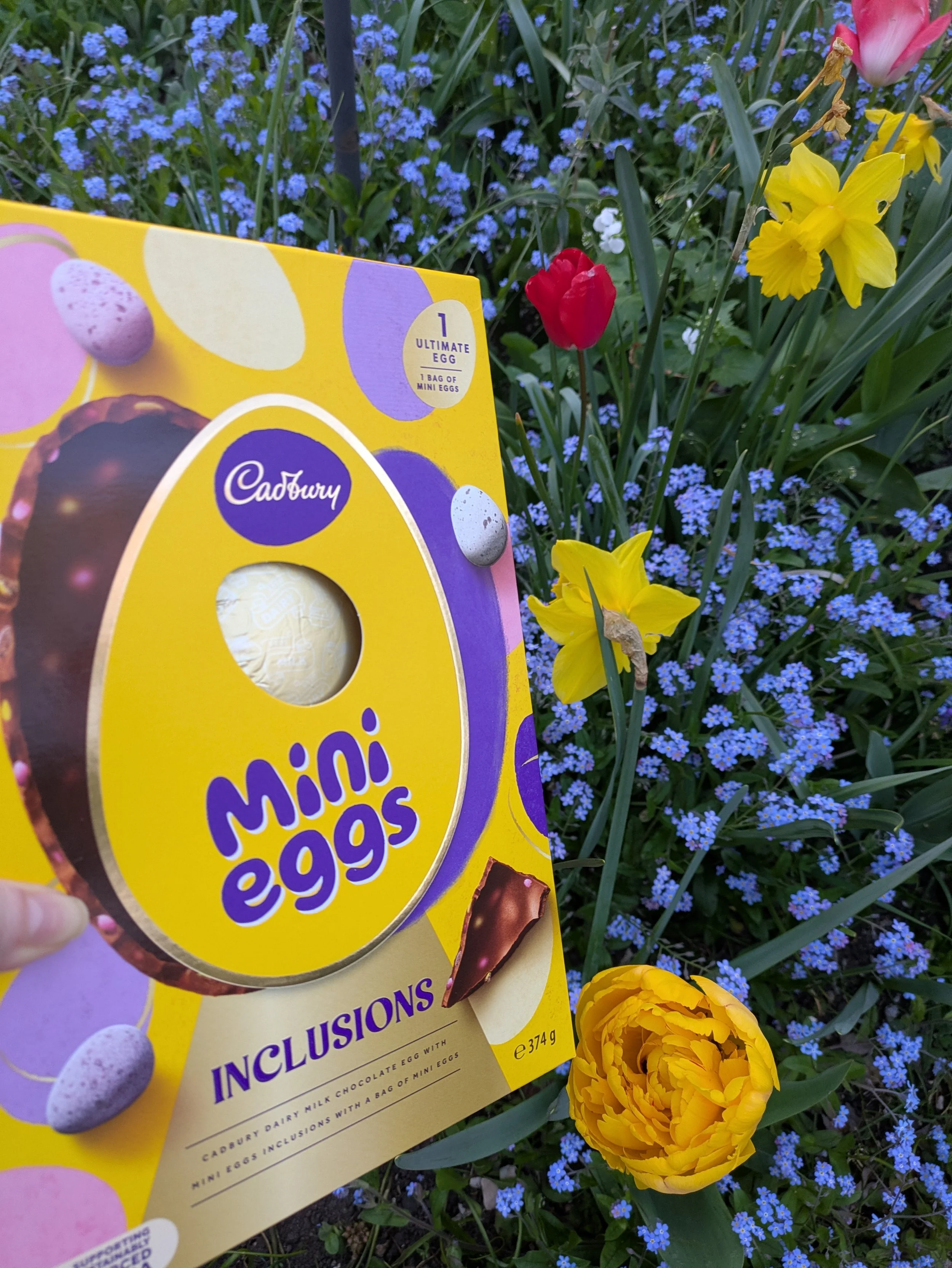 Happy Easter from Hook Home Help