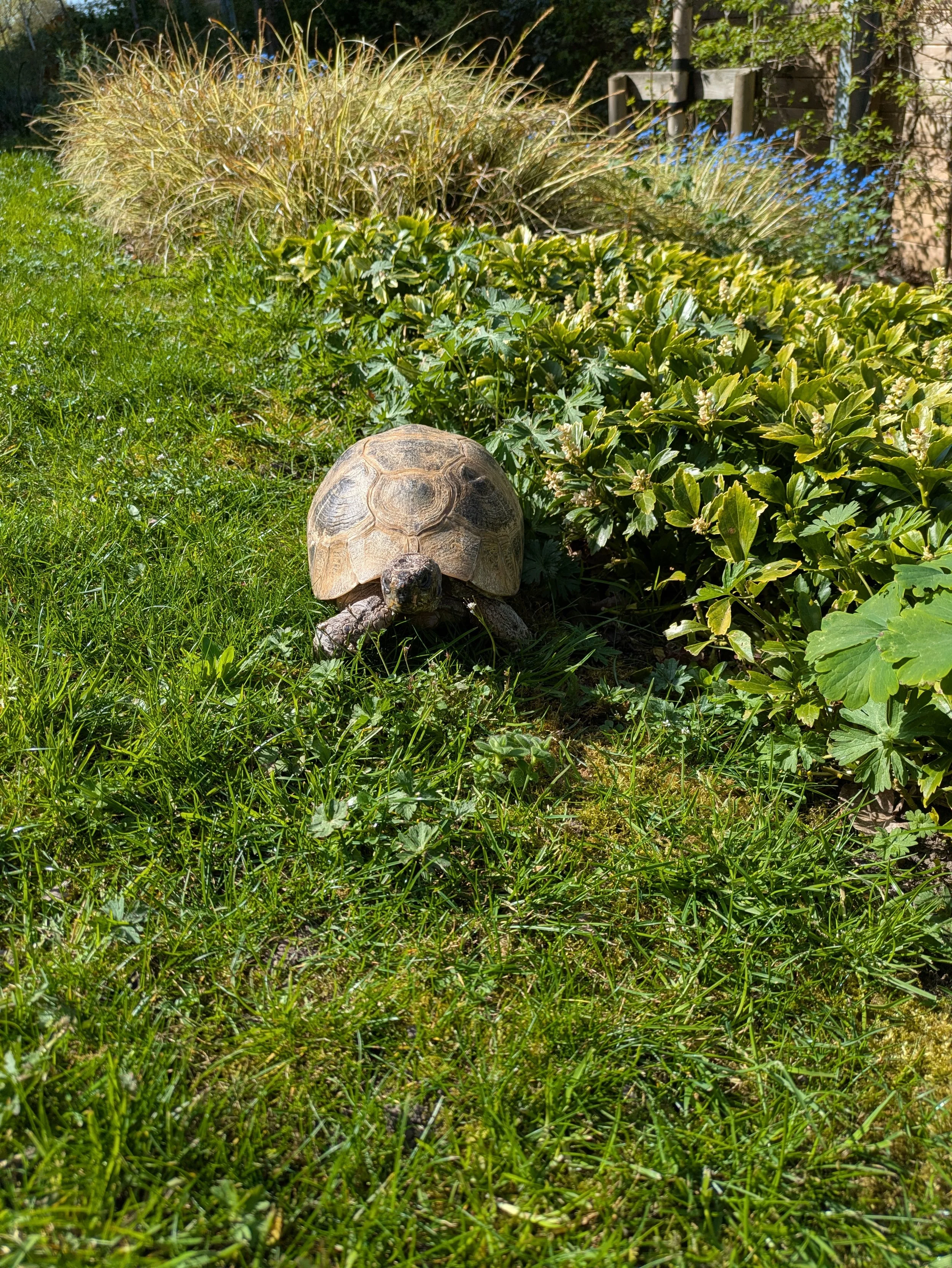 Hook Home Help makes a new friend