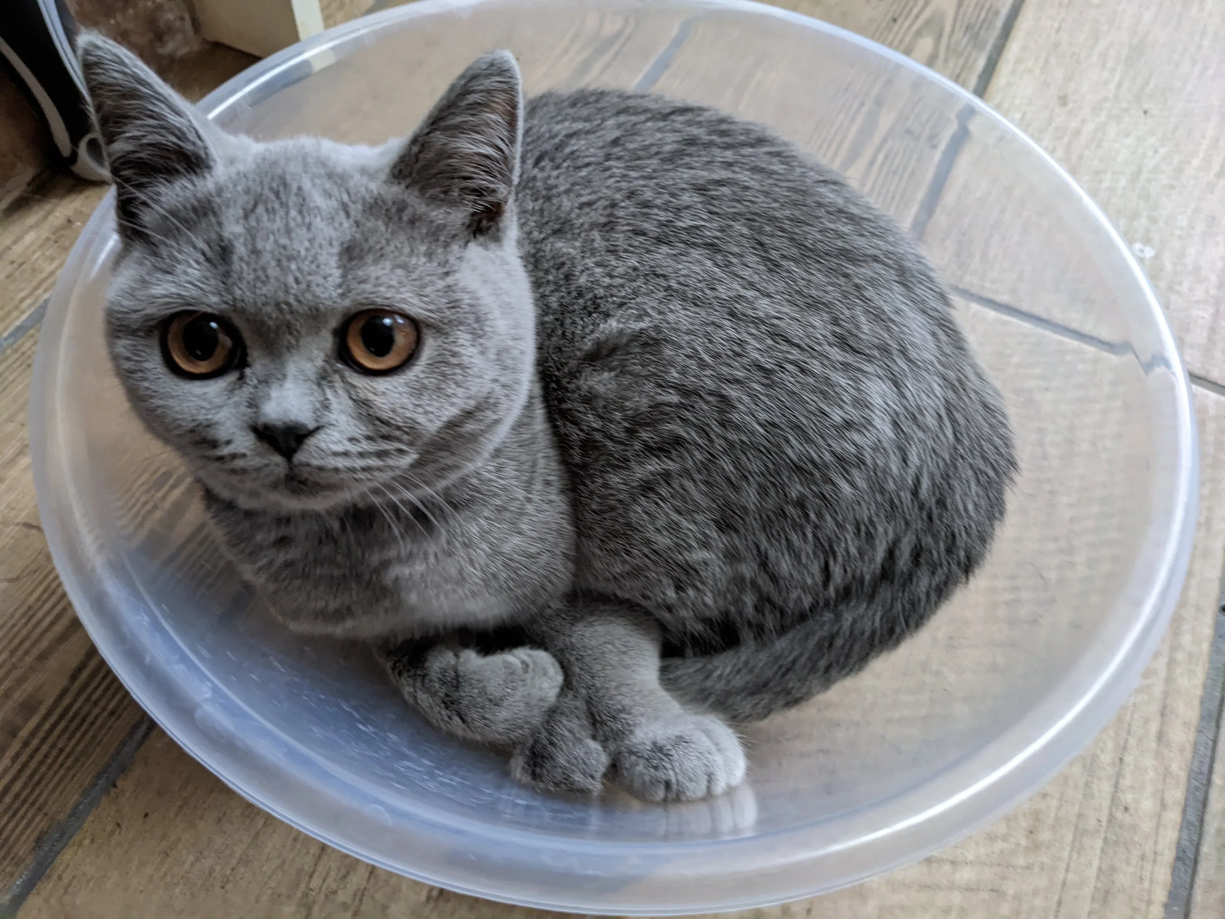 We are providing bespoke reliable support to our local community