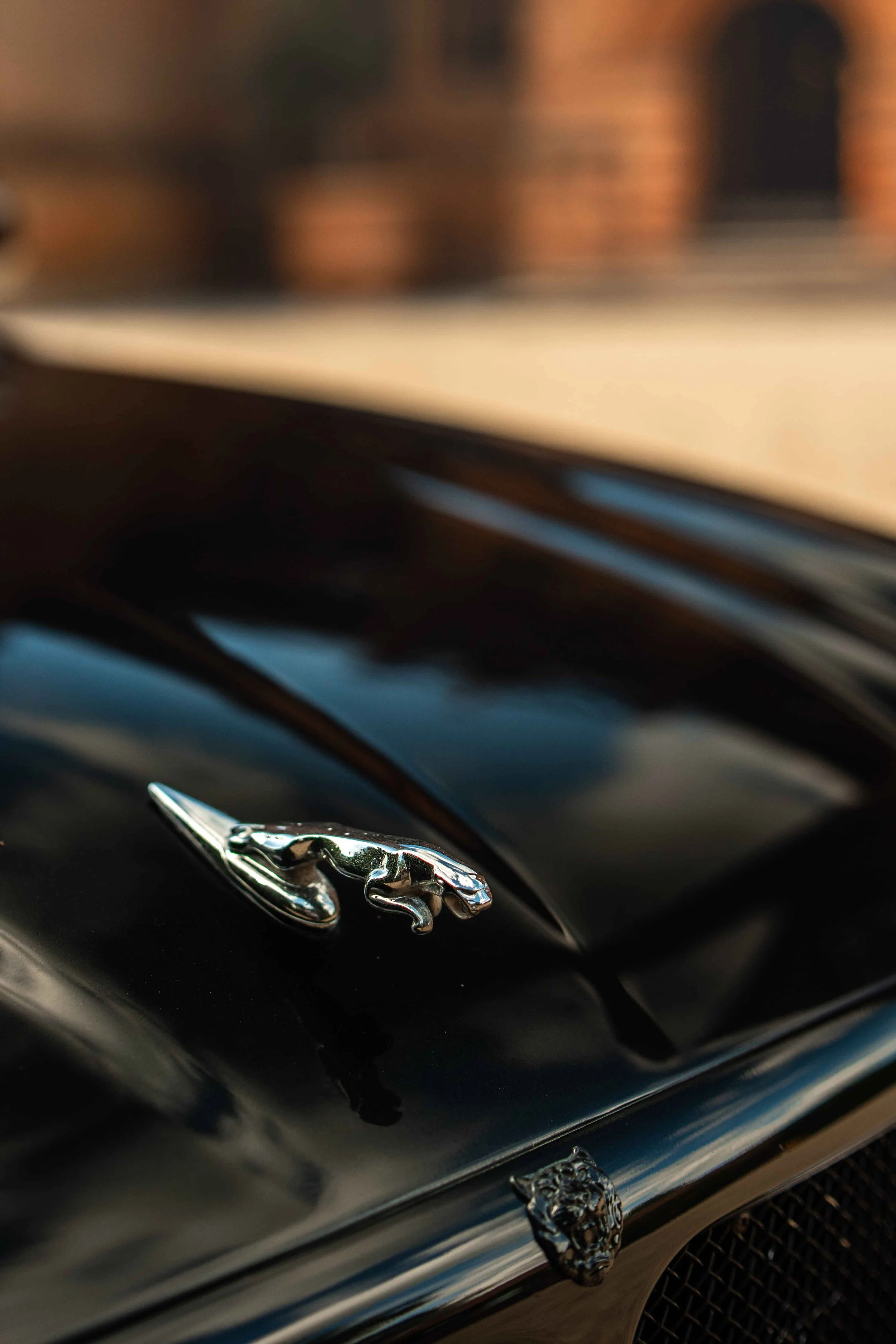 Cars_with_owners_in_Hampshire_by_MBphotography_ (75).jpg