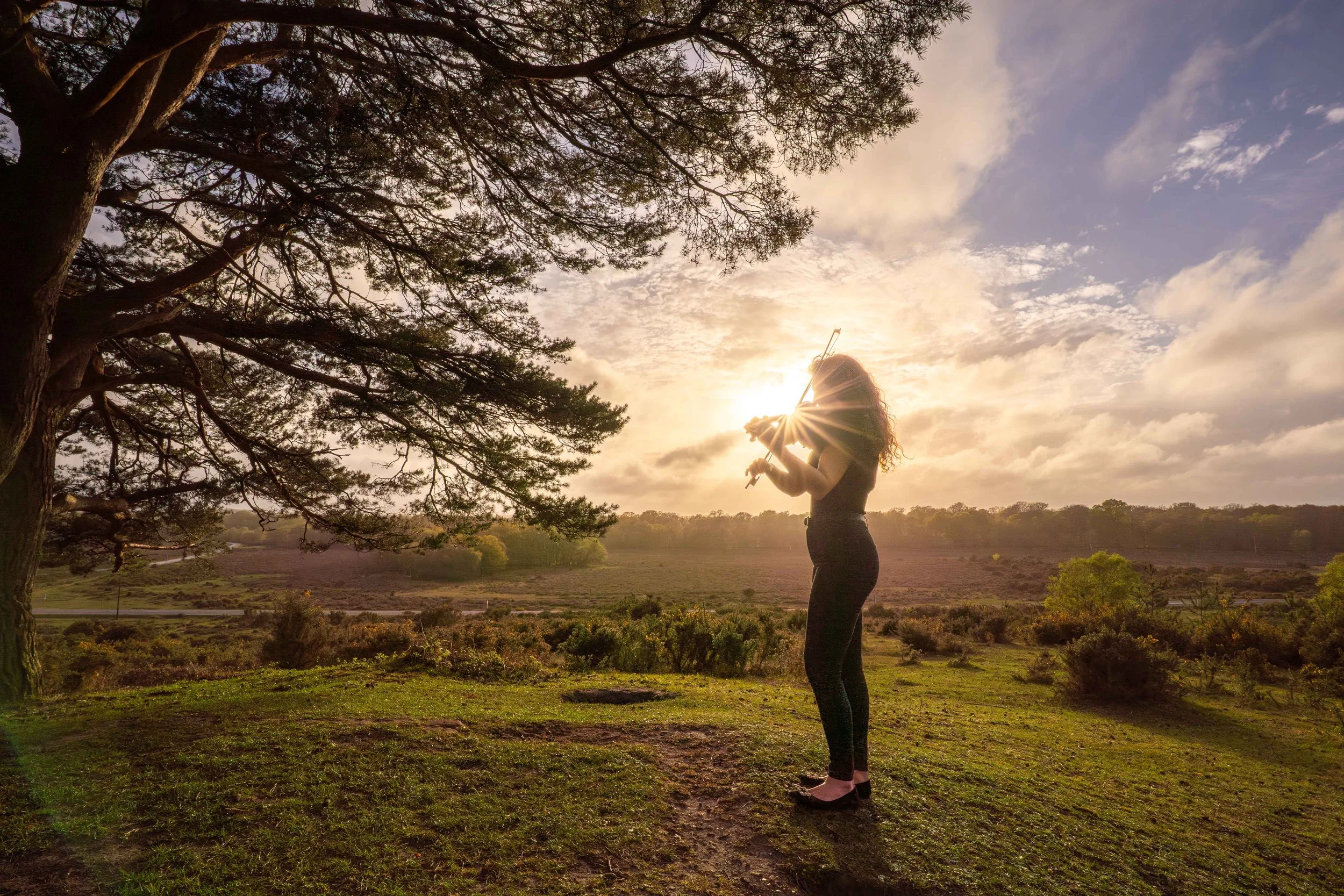 Lifestyle photoshoot with a Violist in the New Forest