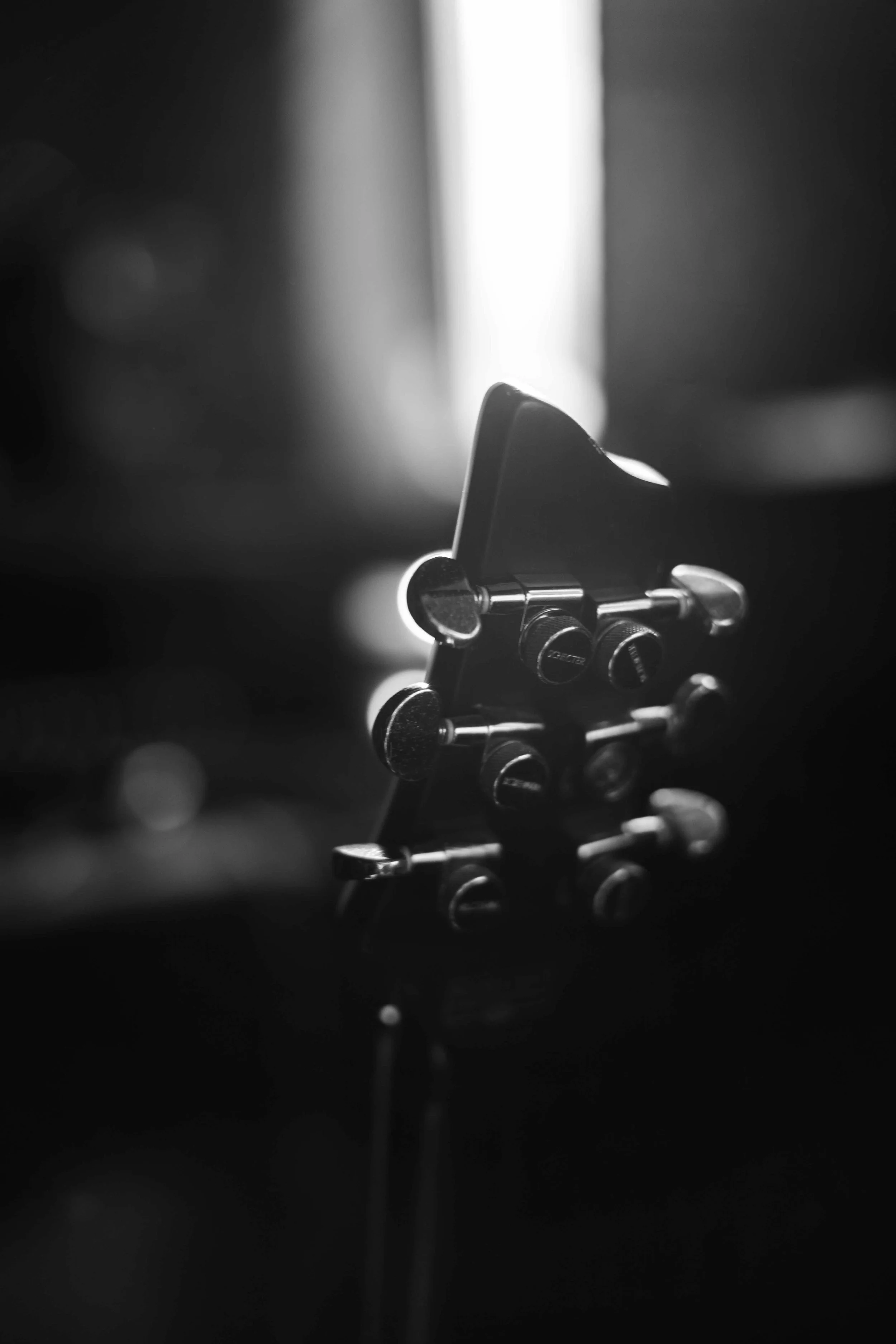 detail shot.jpg