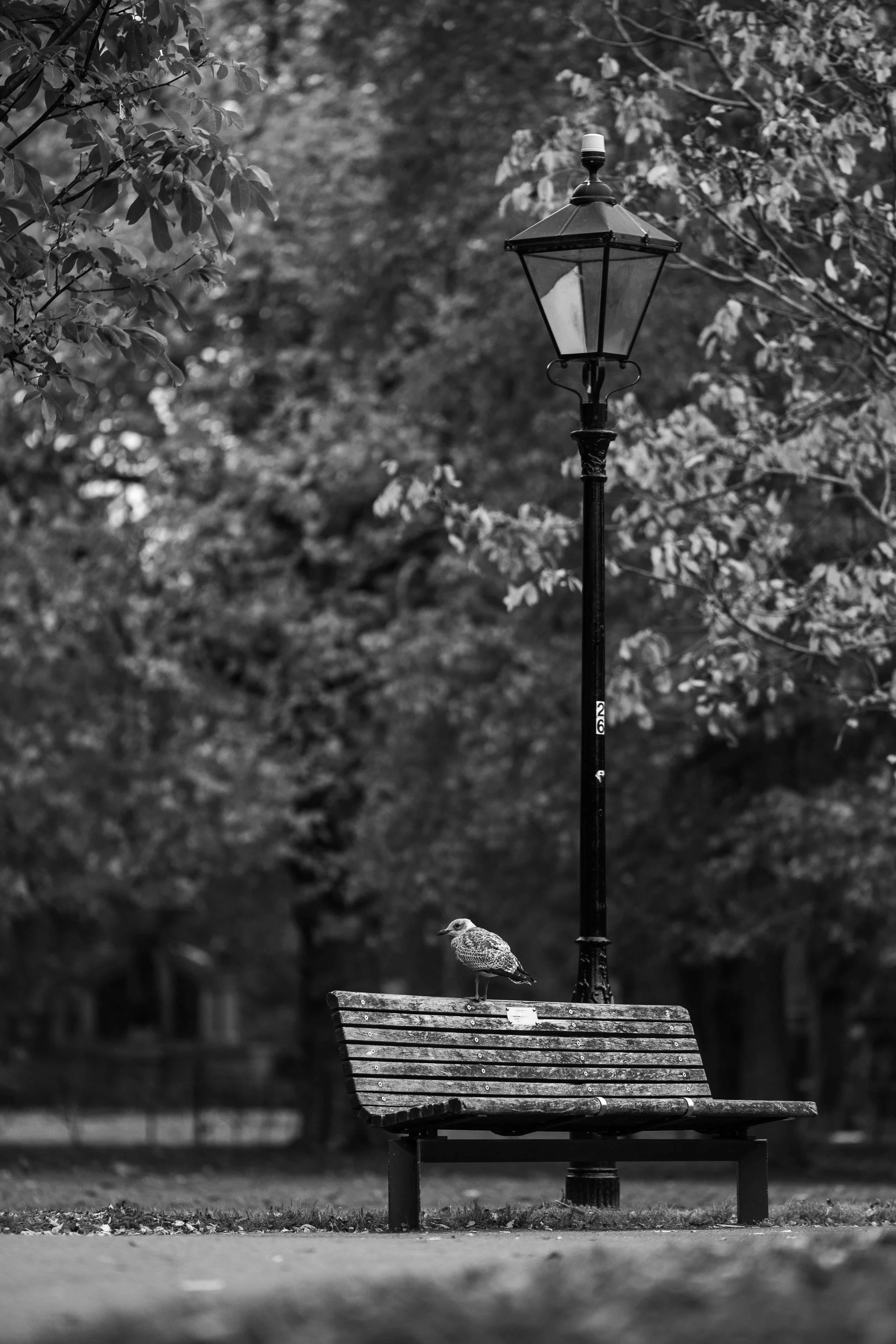 Street_photography_UK_by_MBphotography_ (107).jpg