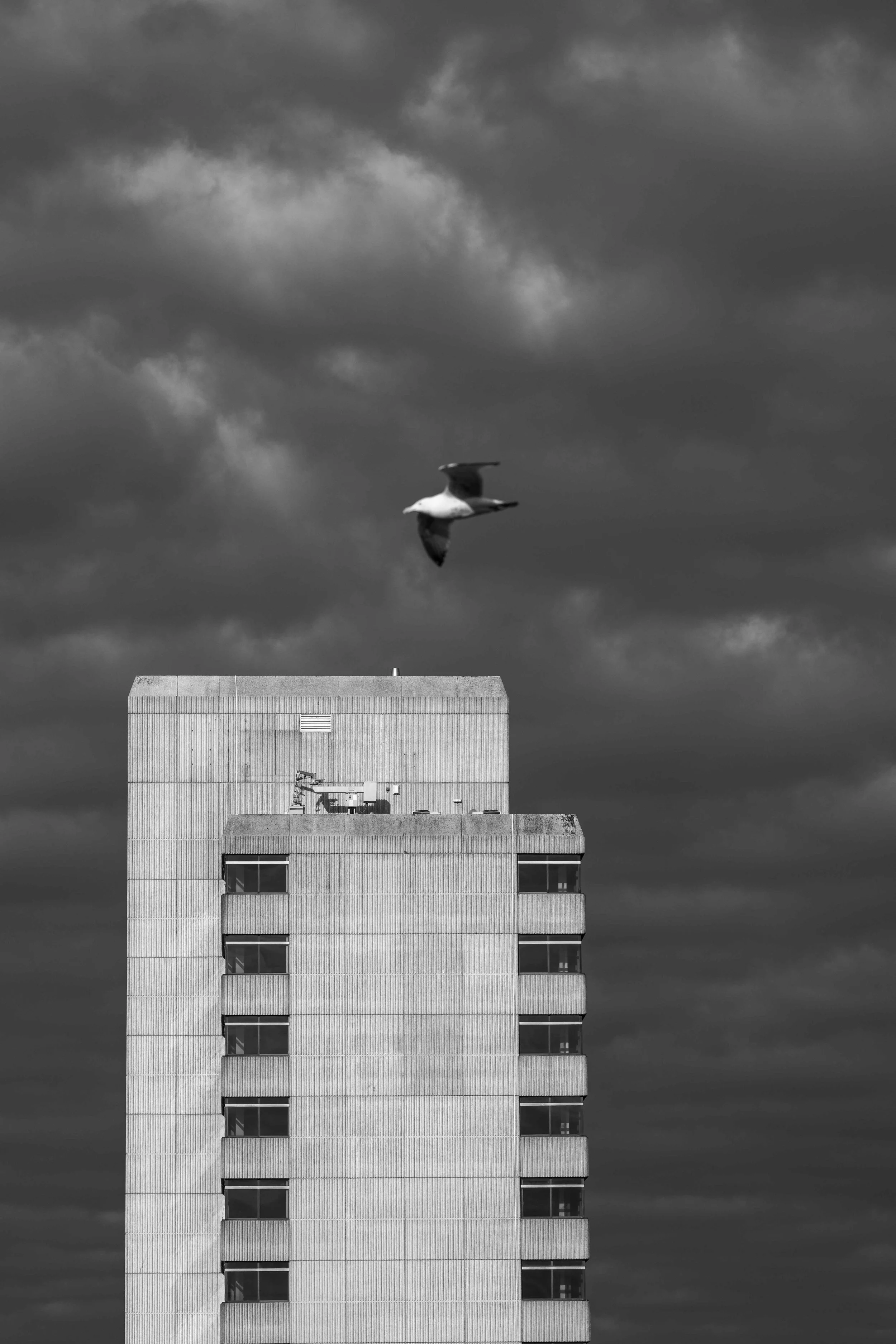 Street_photography_UK_by_MBphotography_ (45).jpg