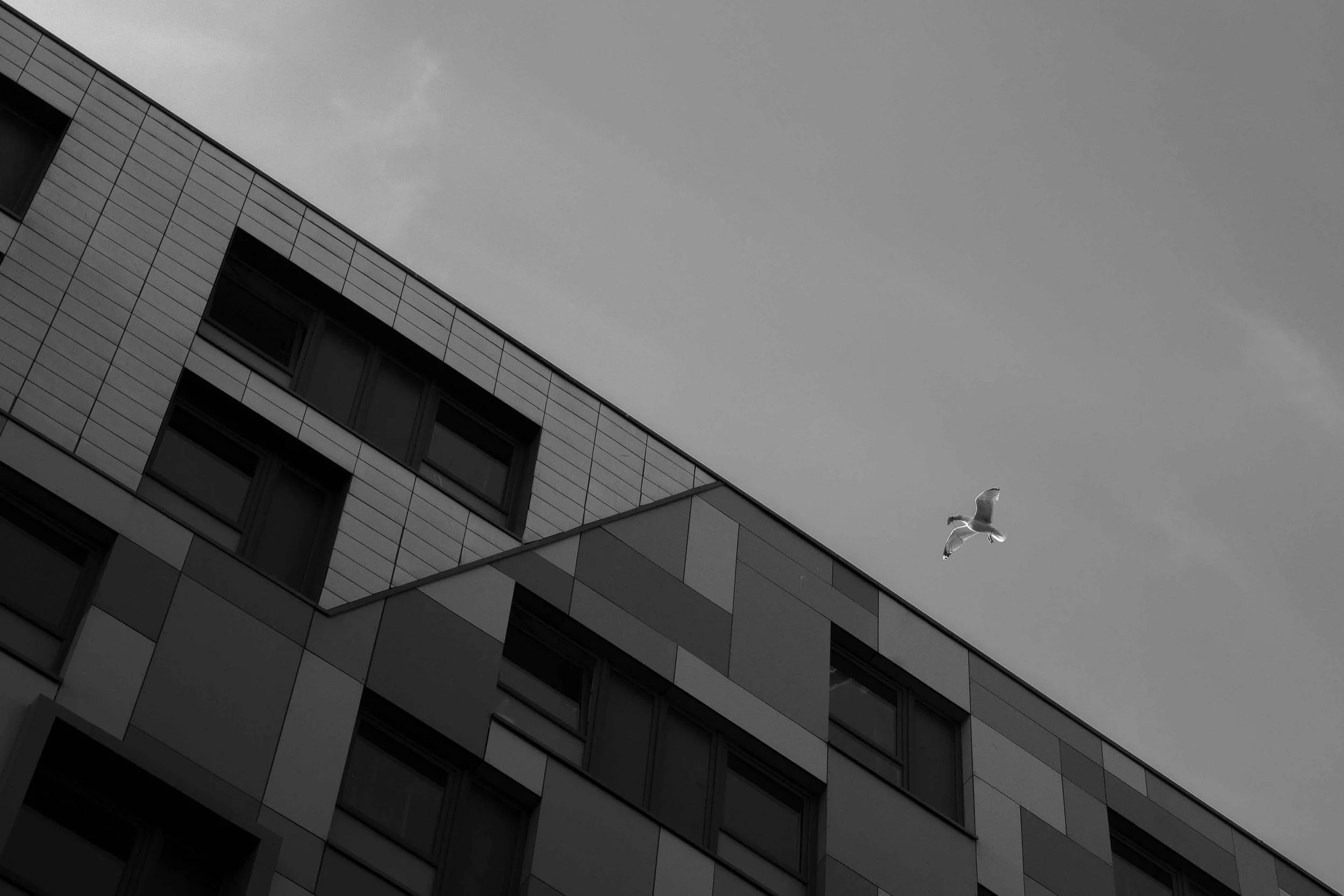 Street_photography_UK_by_MBphotography_ (70).jpg