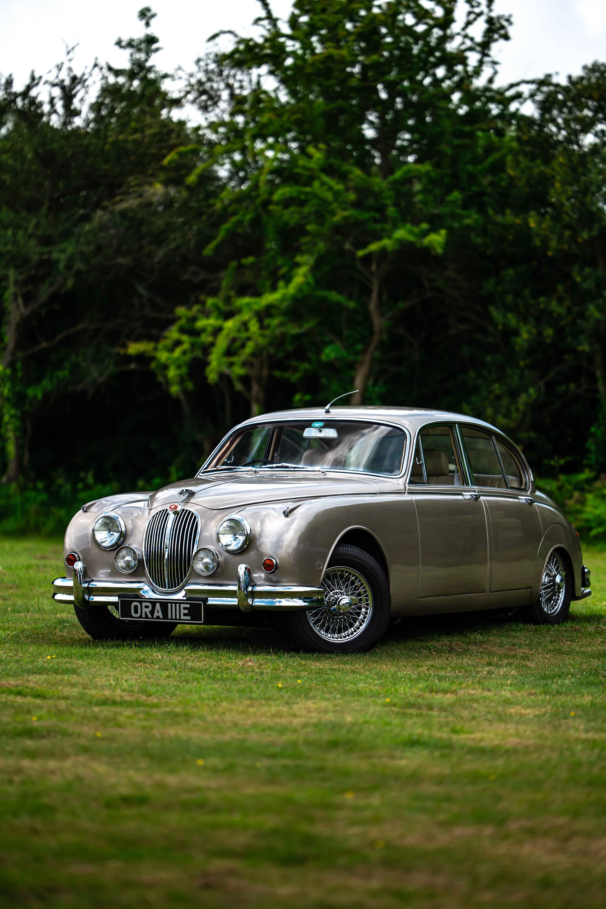 Cars_with_owners_in_Hampshire_by_MBphotography_ (157).jpg