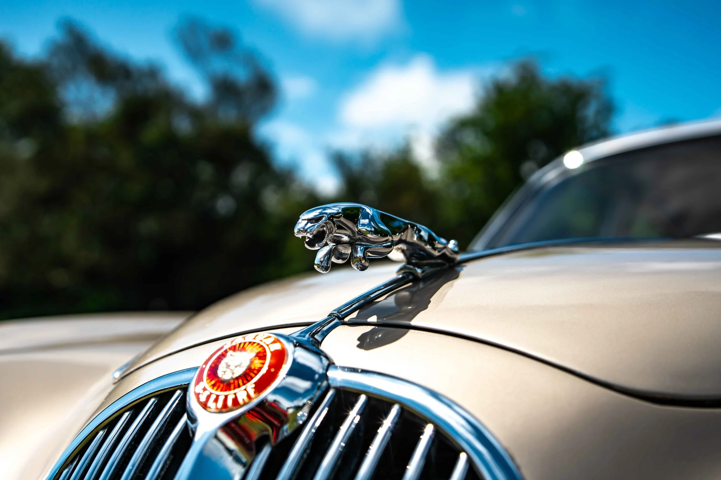 Cars_with_owners_in_Hampshire_by_MBphotography_ (126).jpg