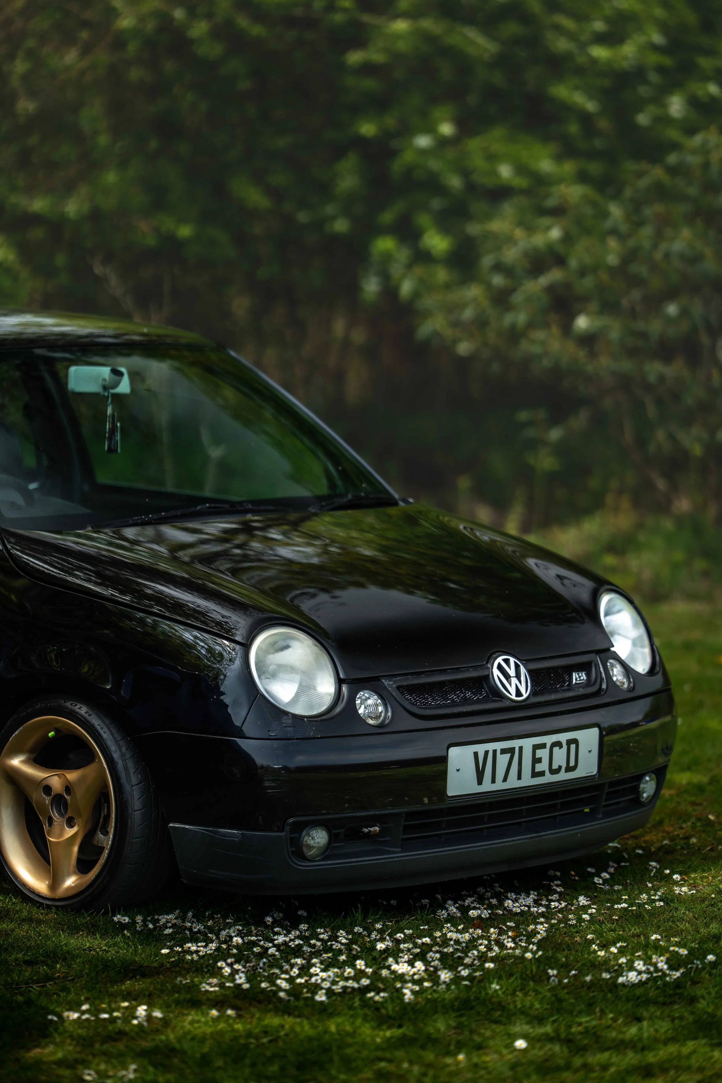 Cars_with_owners_in_Hampshire_by_MBphotography_ (71).jpg