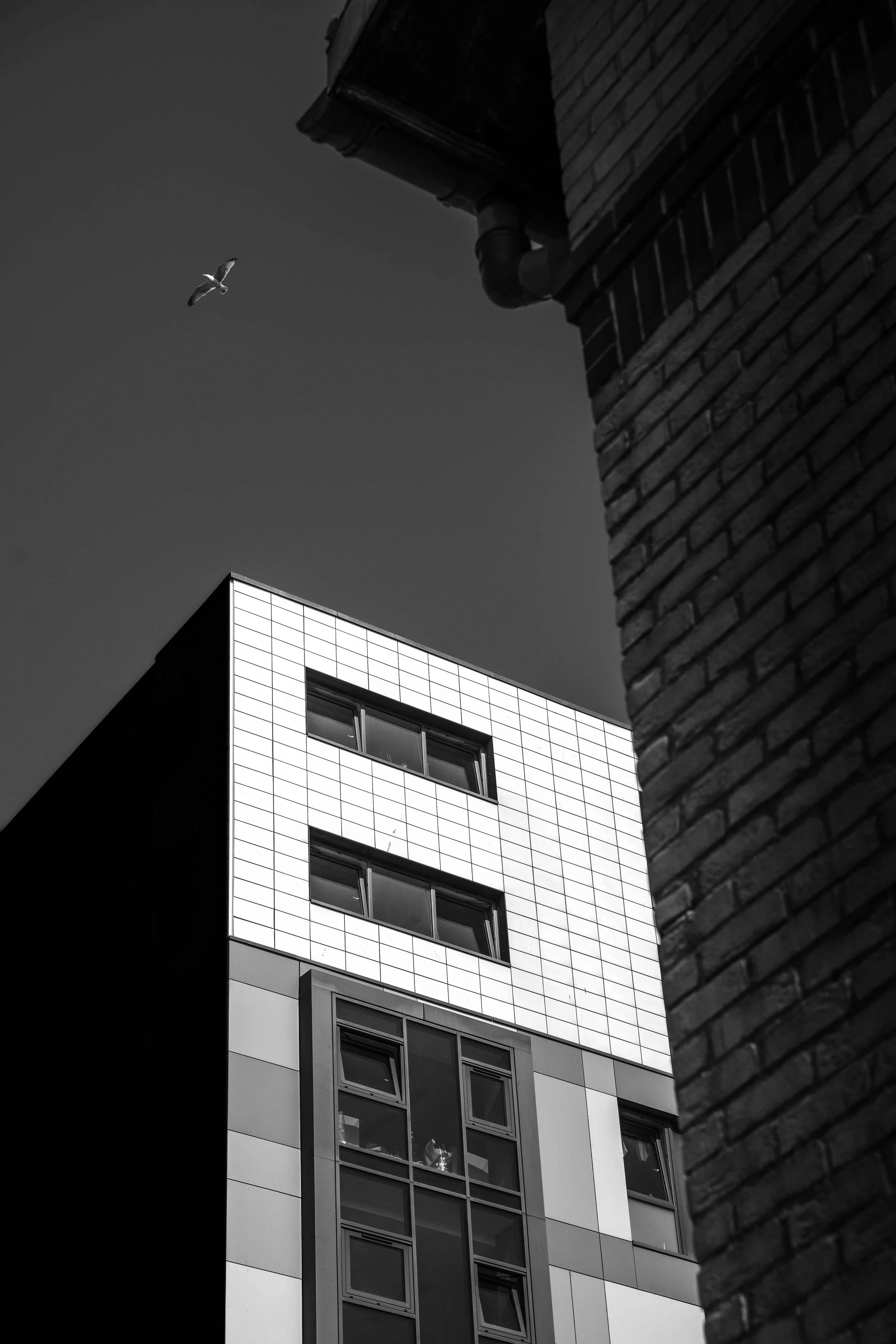 Street_photography_UK_by_MBphotography_ (51).jpg