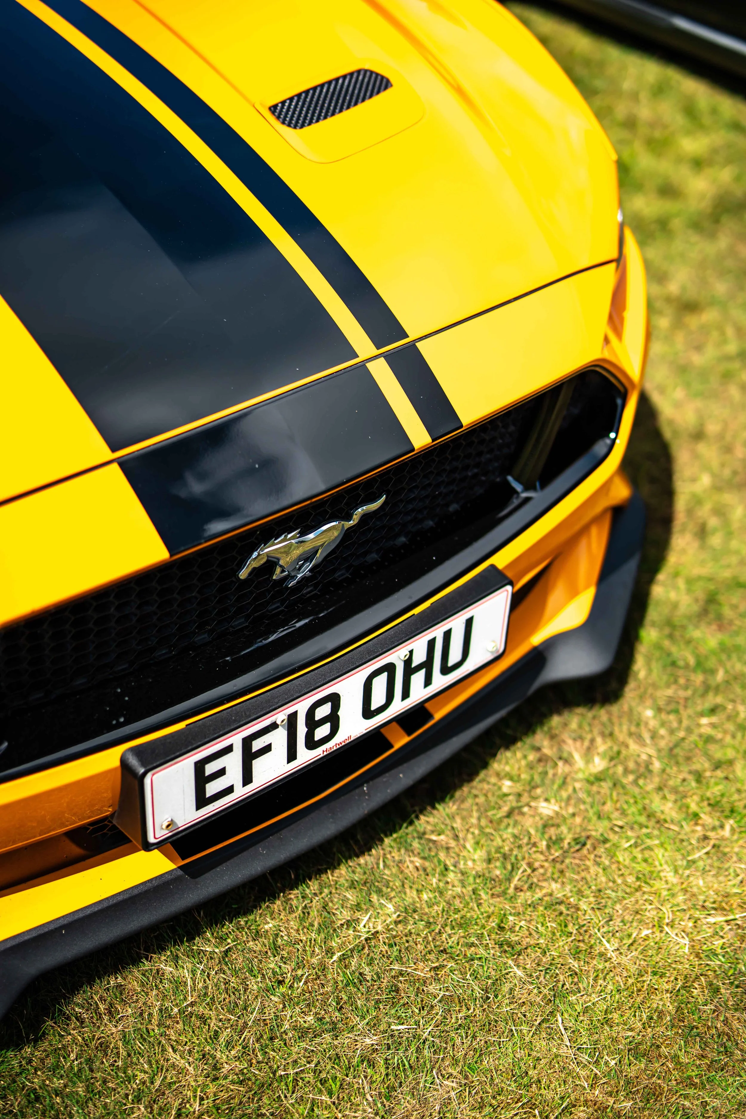 Cars_with_owners_in_Hampshire_by_MBphotography_ (115).jpg