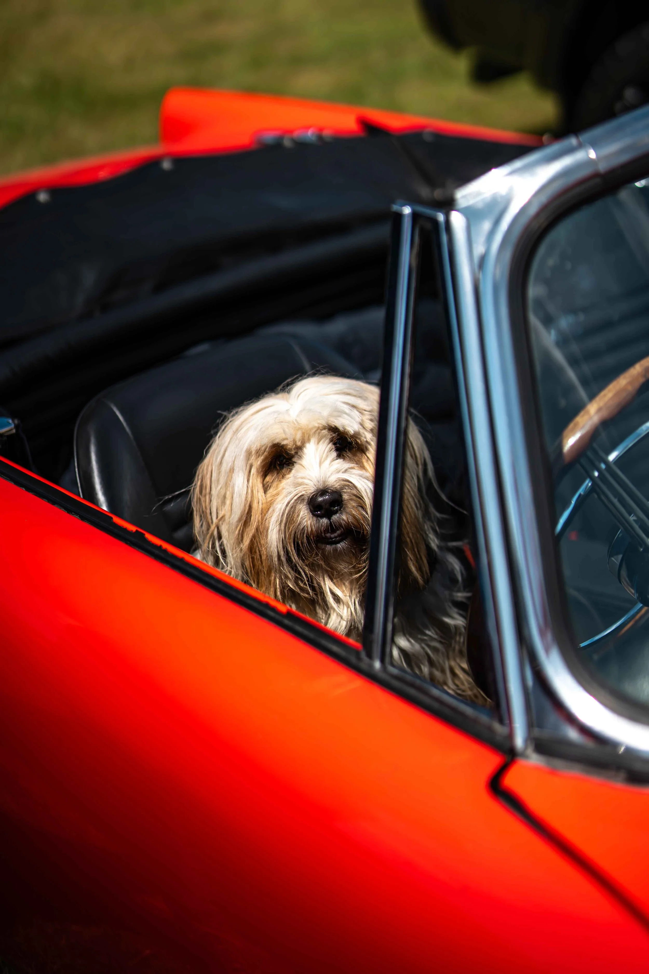 Cars_with_owners_in_Hampshire_by_MBphotography_ (121).jpg
